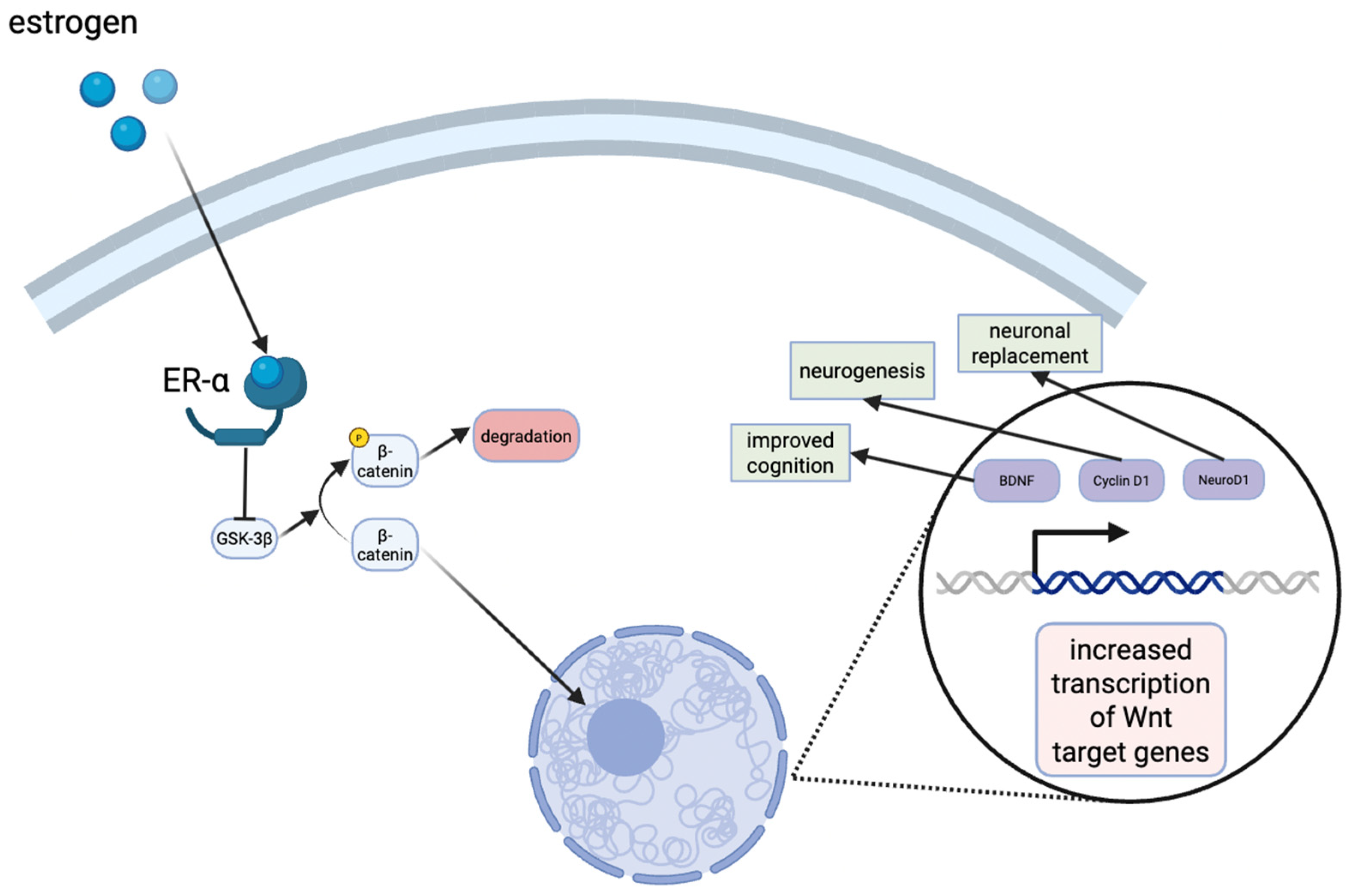 Diseases 13 00359 g003