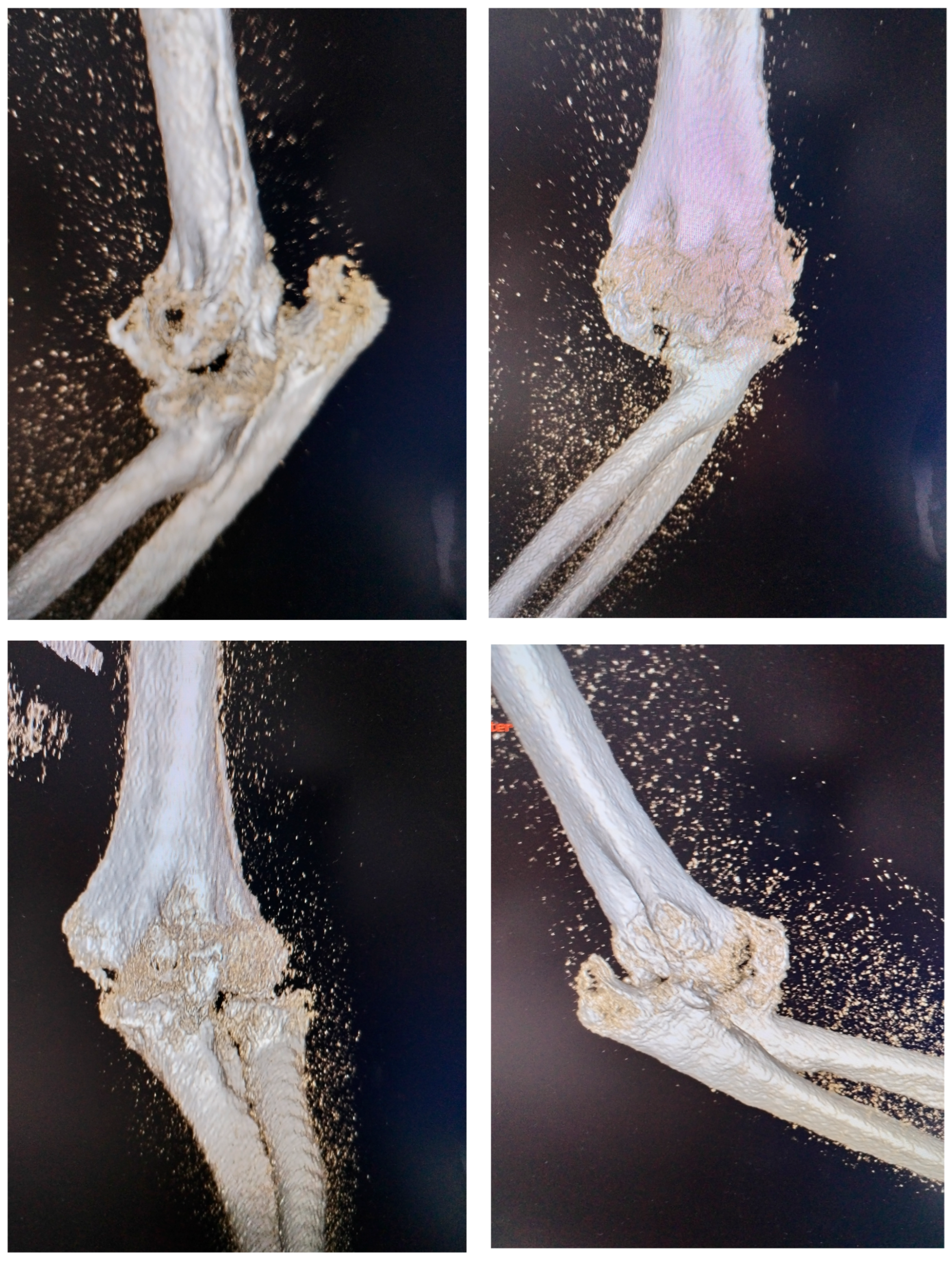 Diseases 13 00369 g002