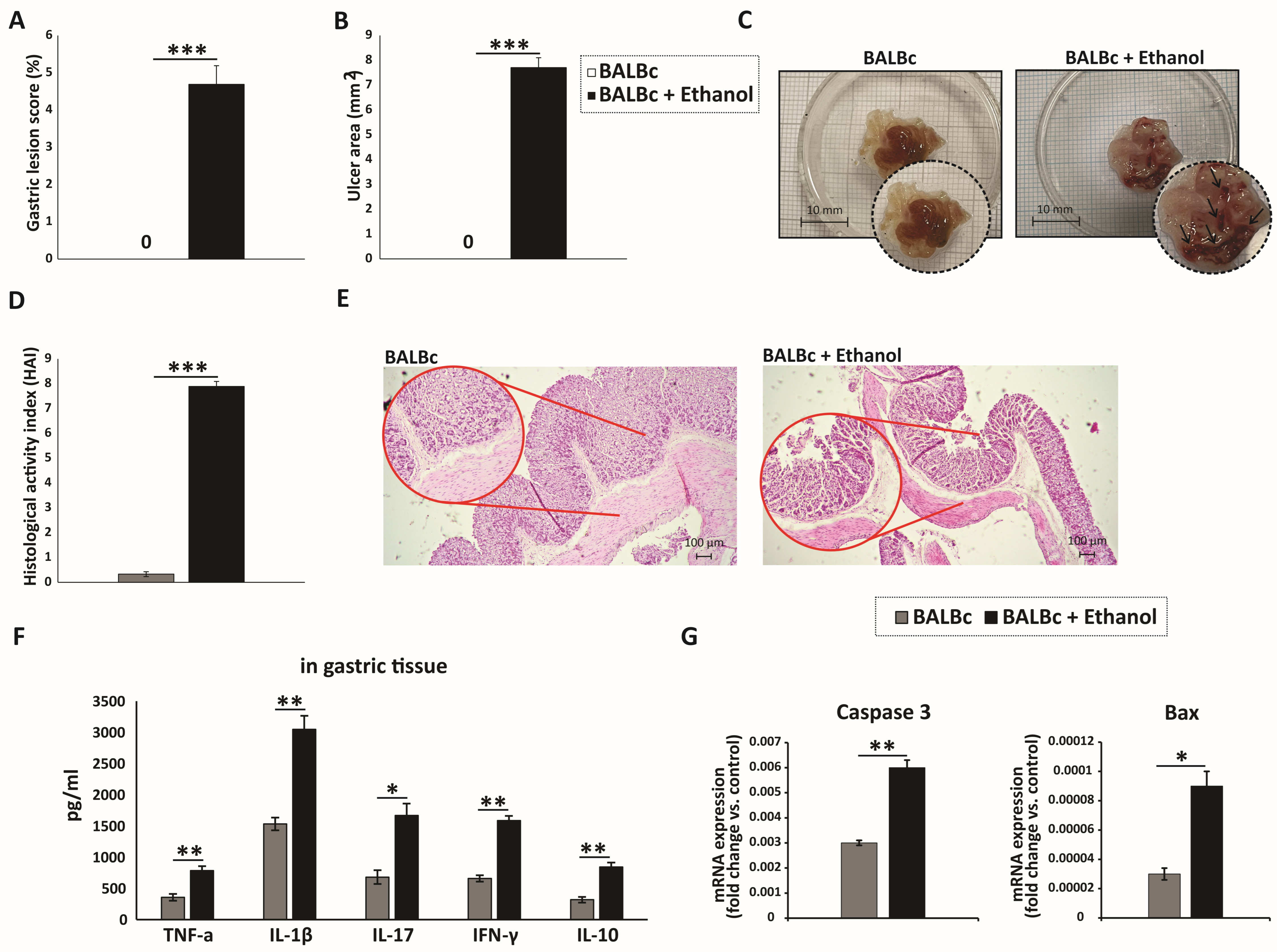 Diseases 13 00374 g001