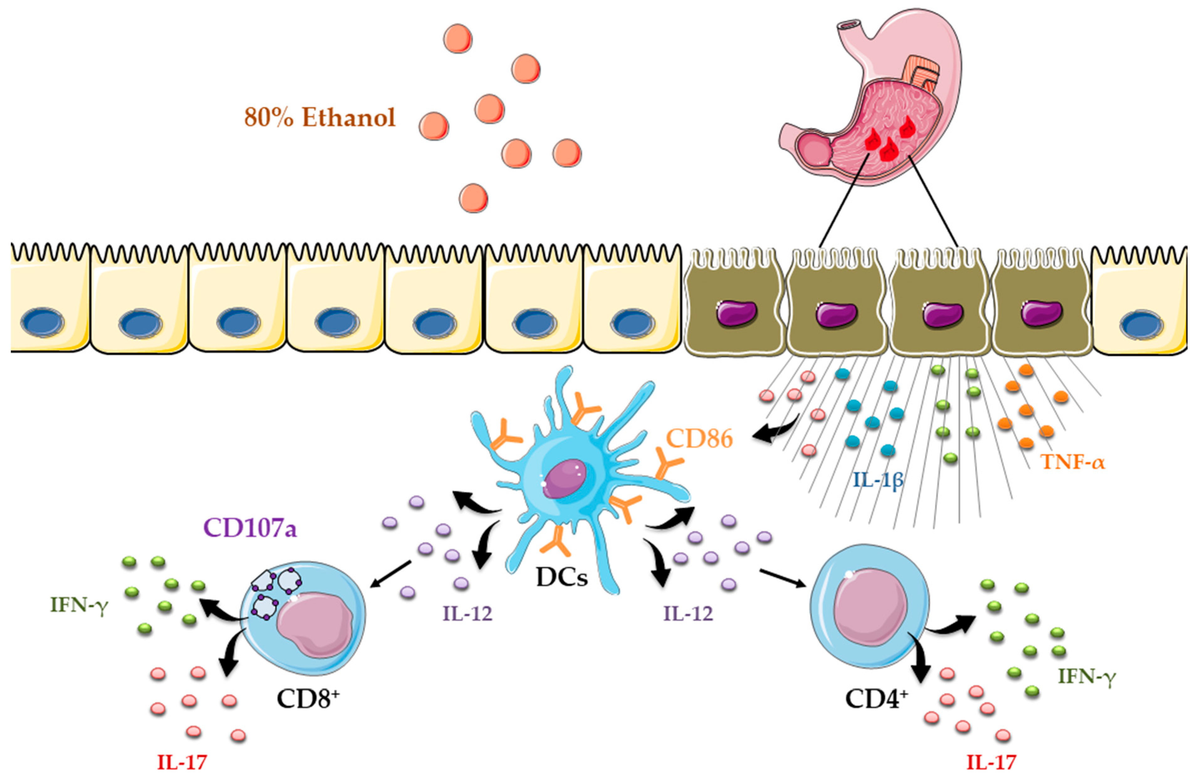Diseases 13 00374 g005