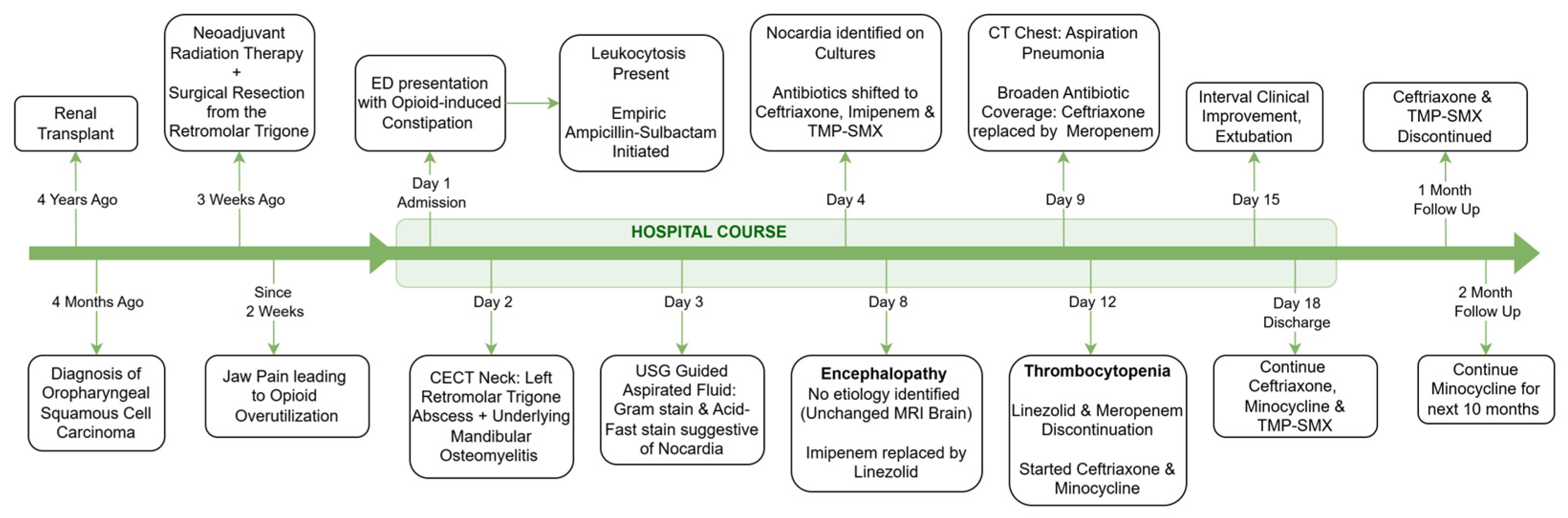 Diseases 13 00397 g003