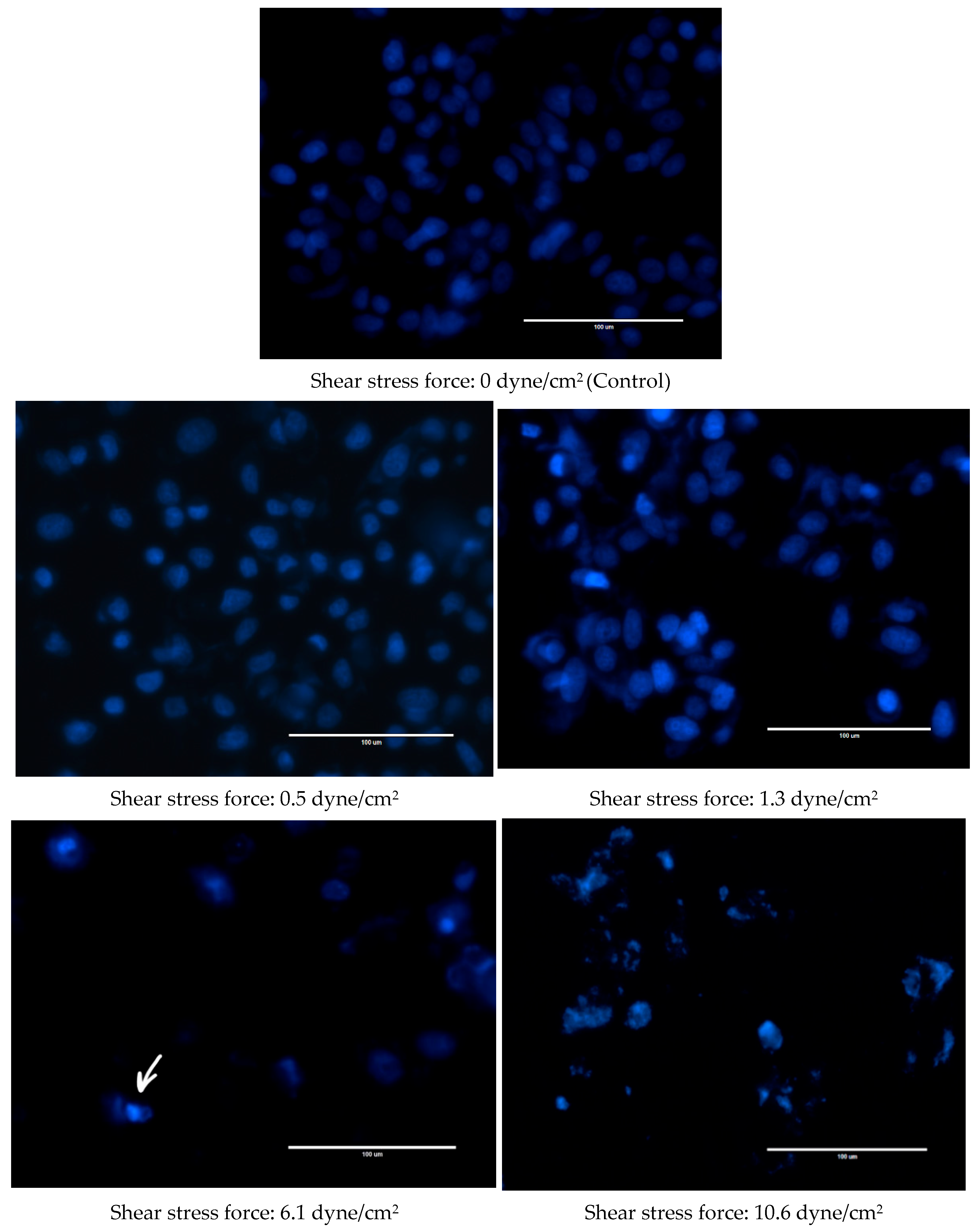 Diseases 13 00402 g004