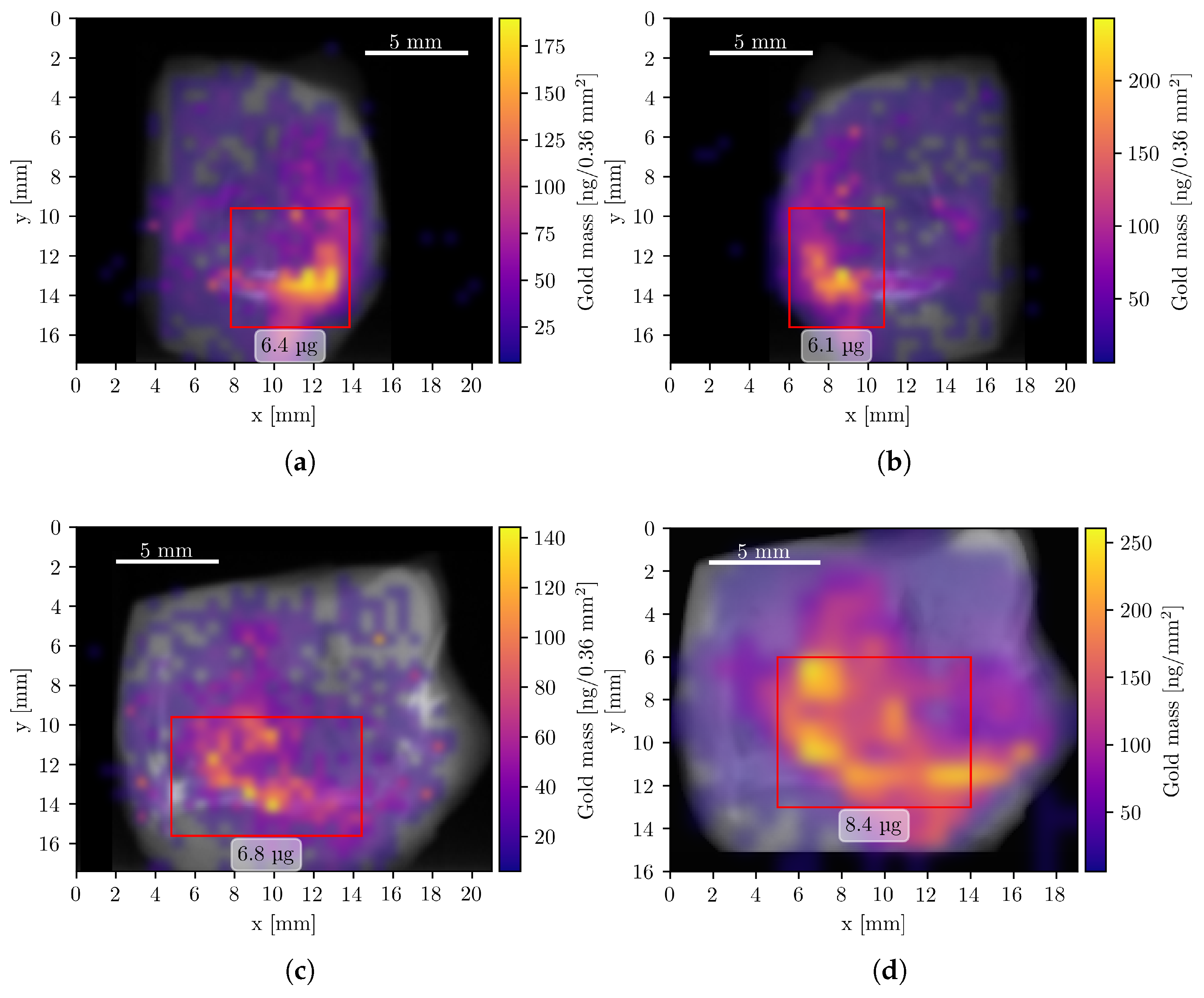 Diseases 13 00403 g004