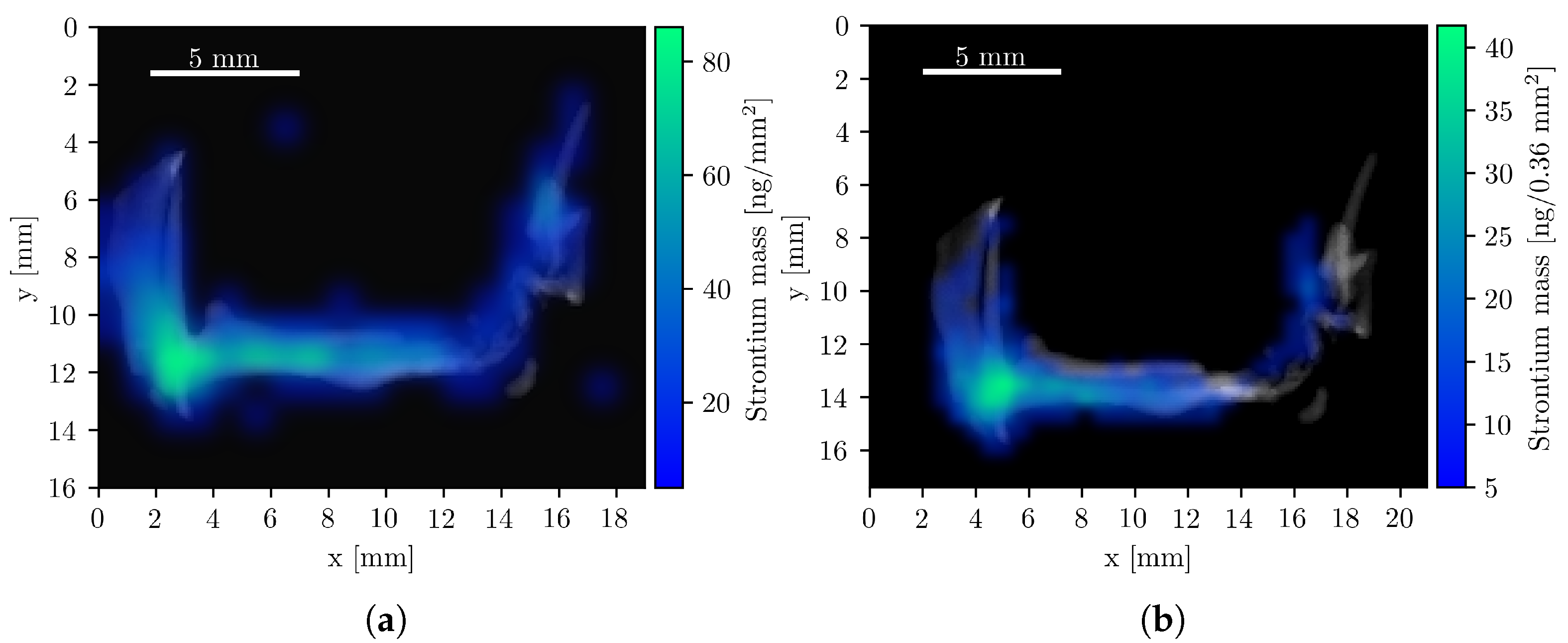 Diseases 13 00403 g005
