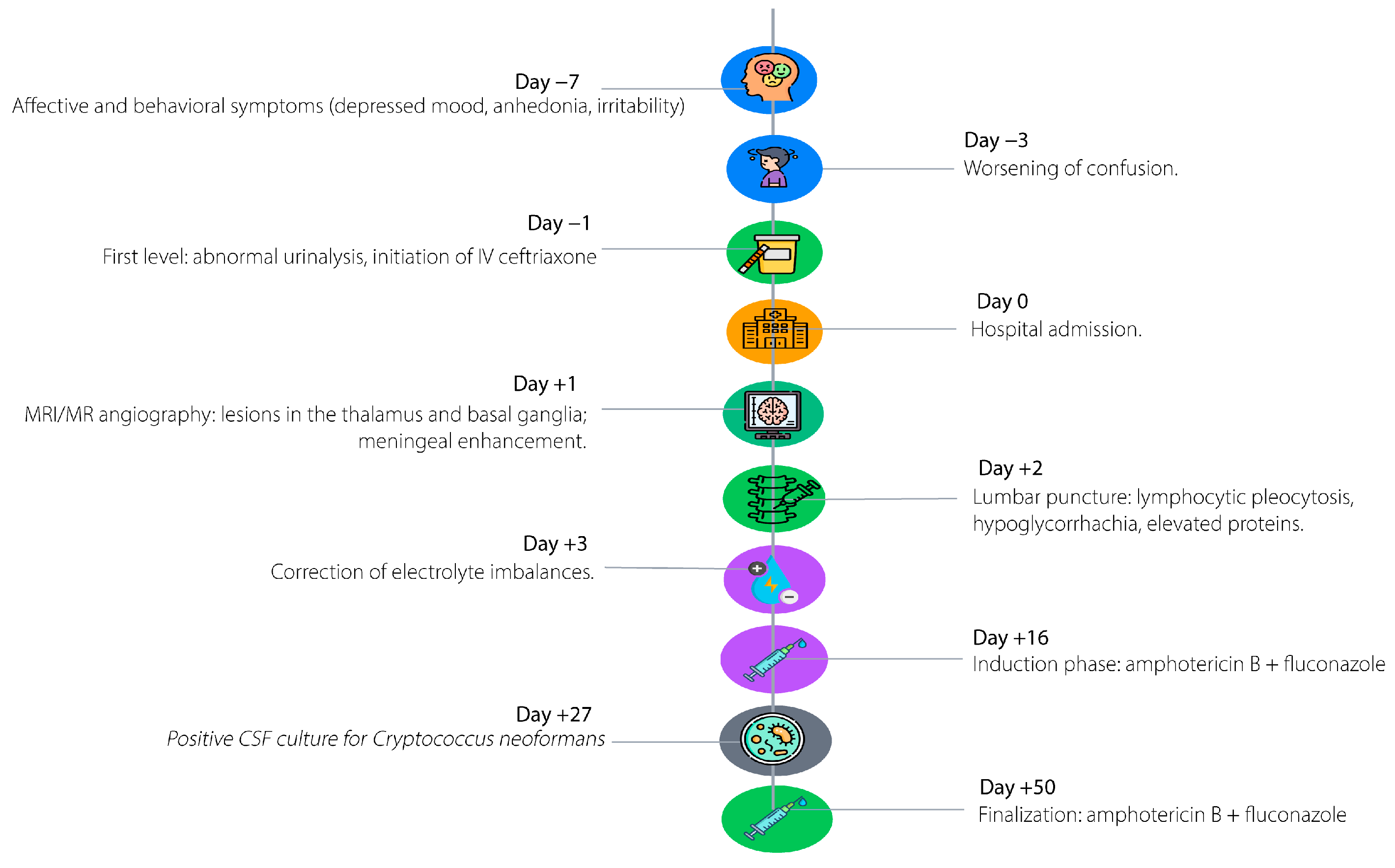 Diseases 13 00404 g001