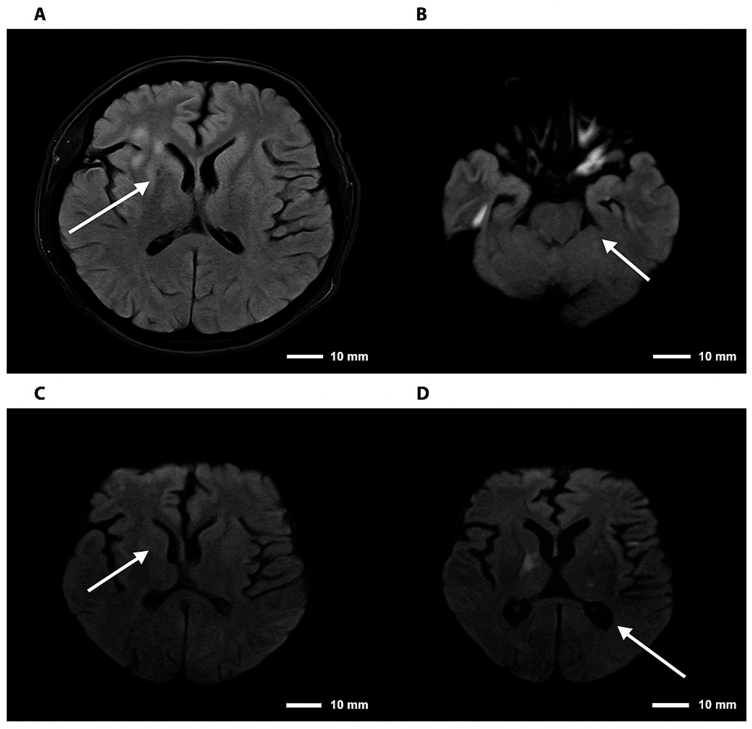 Diseases 13 00404 g003