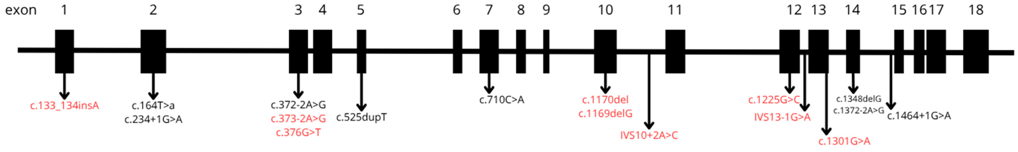 Diseases 14 00005 g005