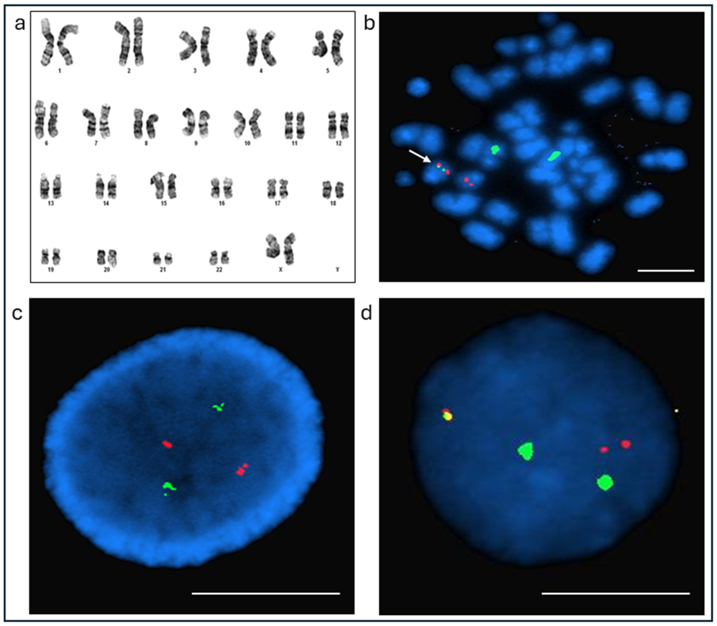 Diseases 14 00017 g003
