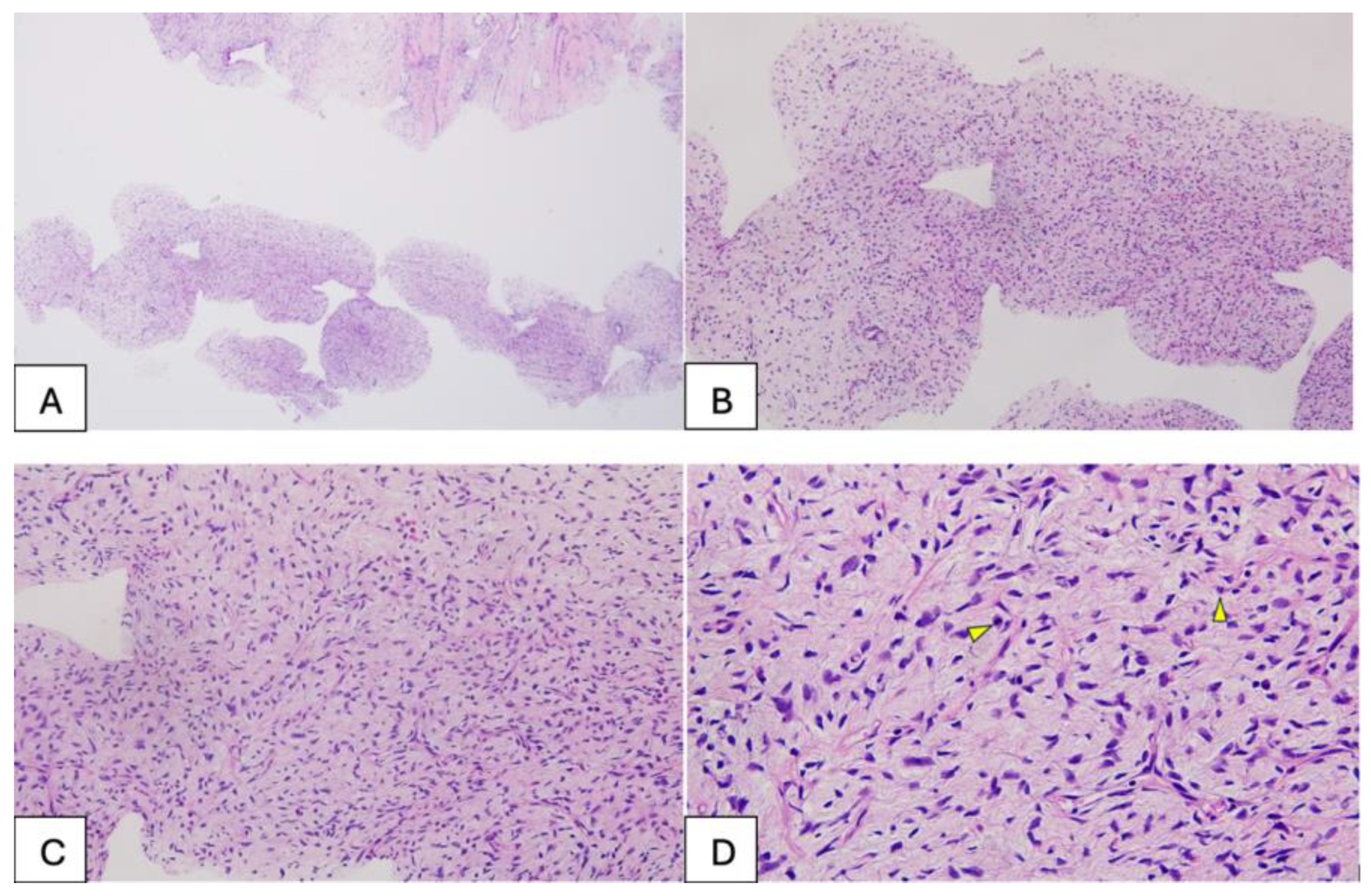 Diseases 14 00114 g001