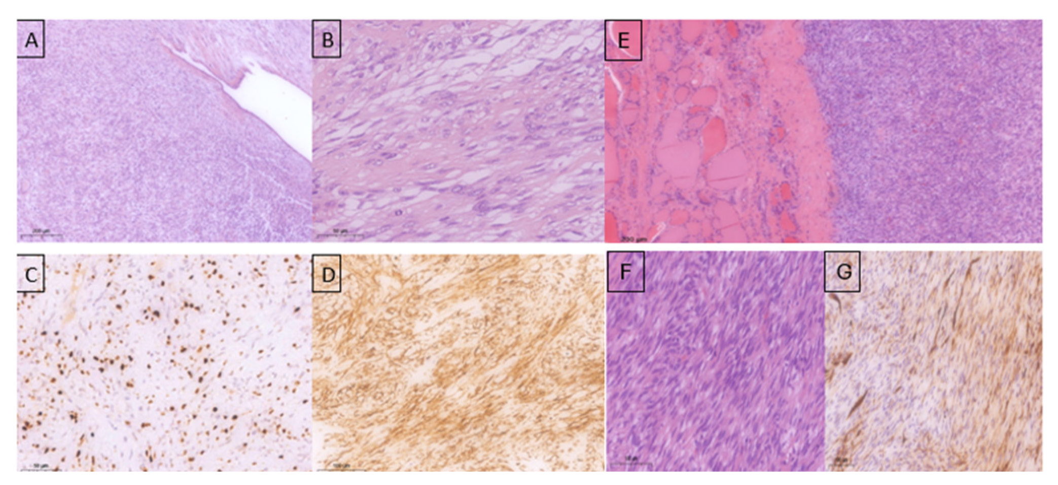 Diseases 14 00114 g003