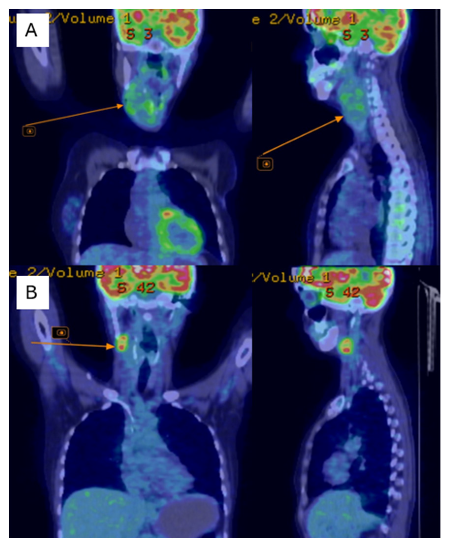 Diseases 14 00114 g004