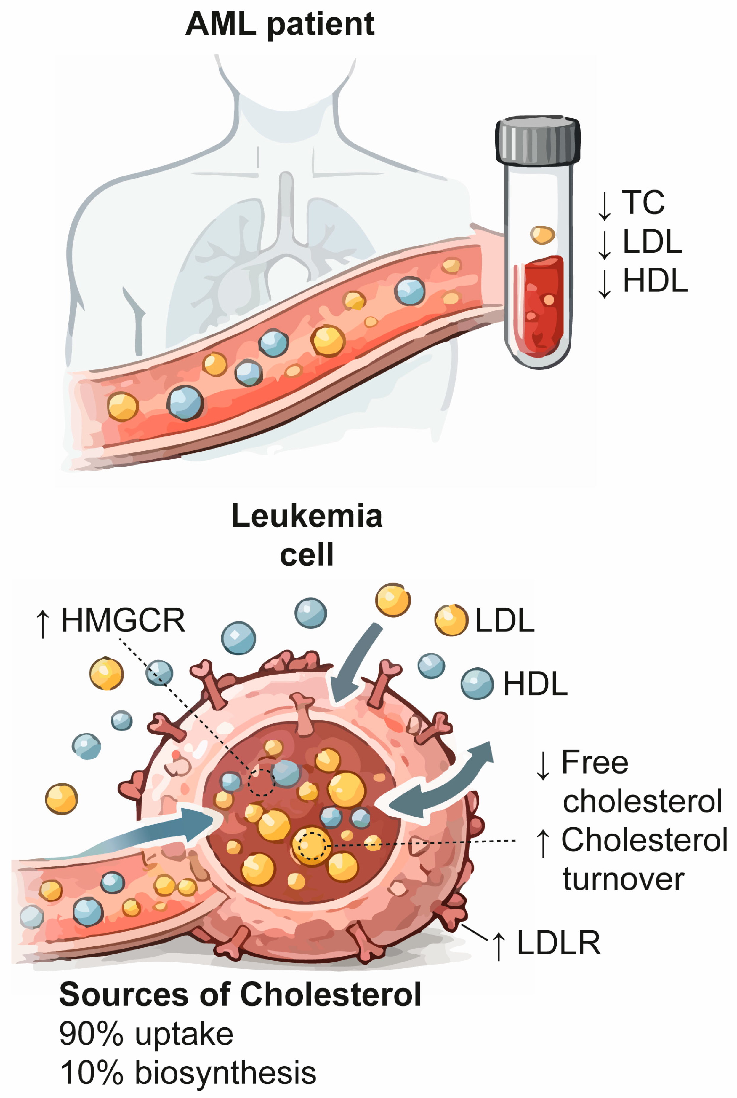 Diseases 14 00246 g001
