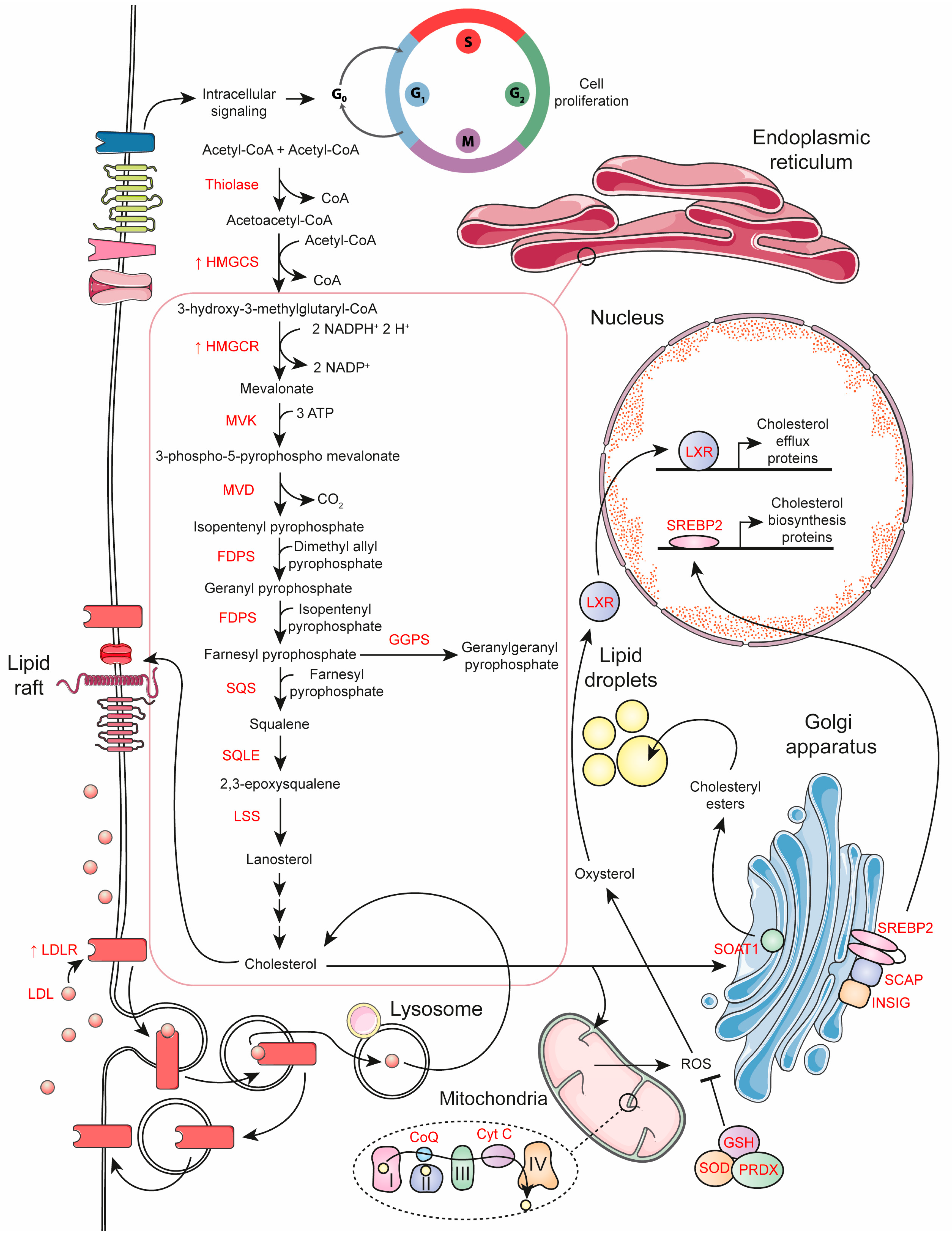 Diseases 14 00246 g002