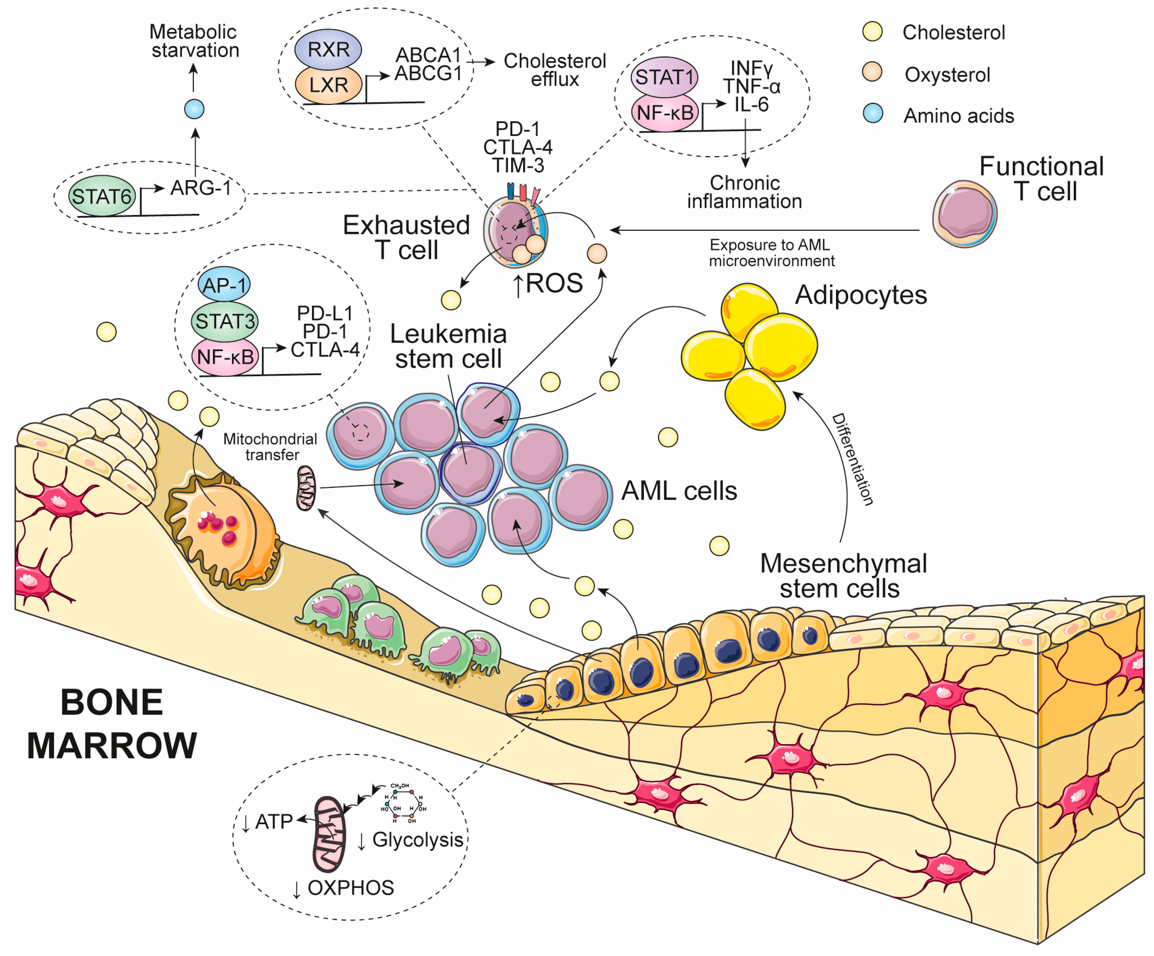 Diseases 14 00246 g003
