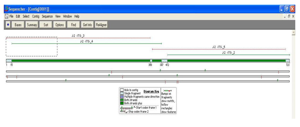 Diversity 01 00089 g003 1024