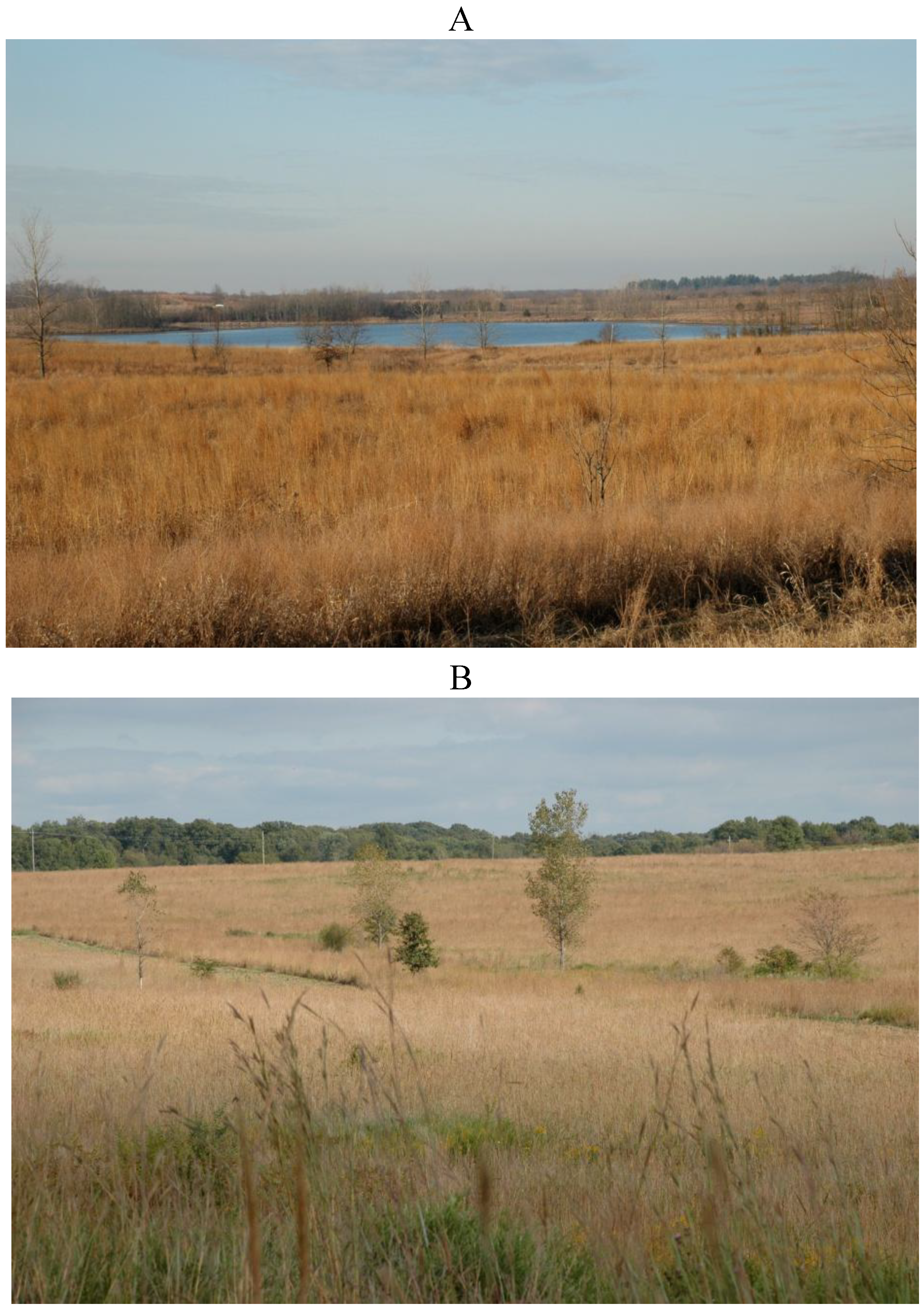 Diversity 01 00118 g003