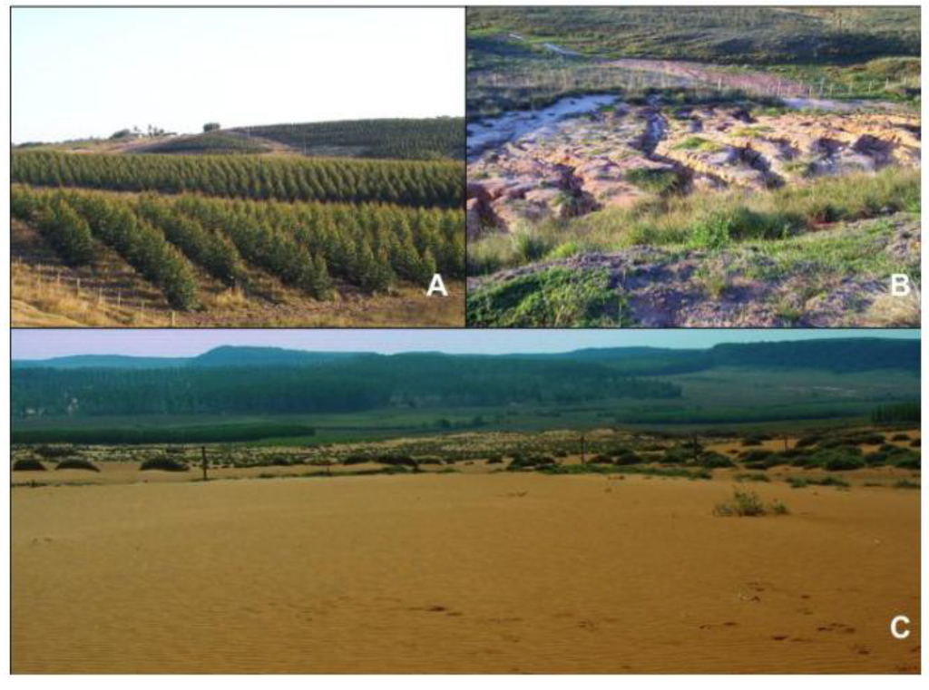 Diversity 01 00182 g002 1024