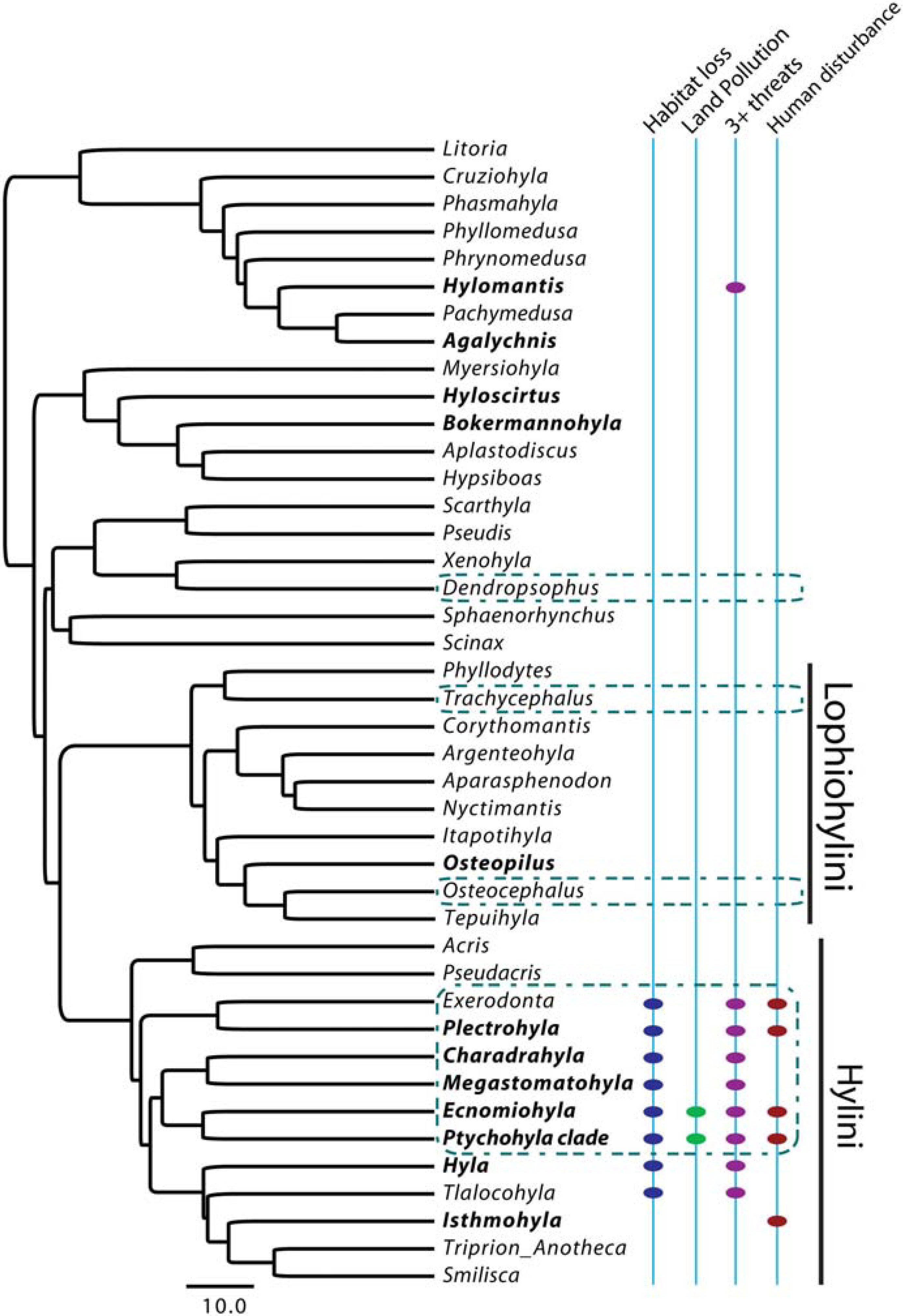 Diversity 02 00142 g003