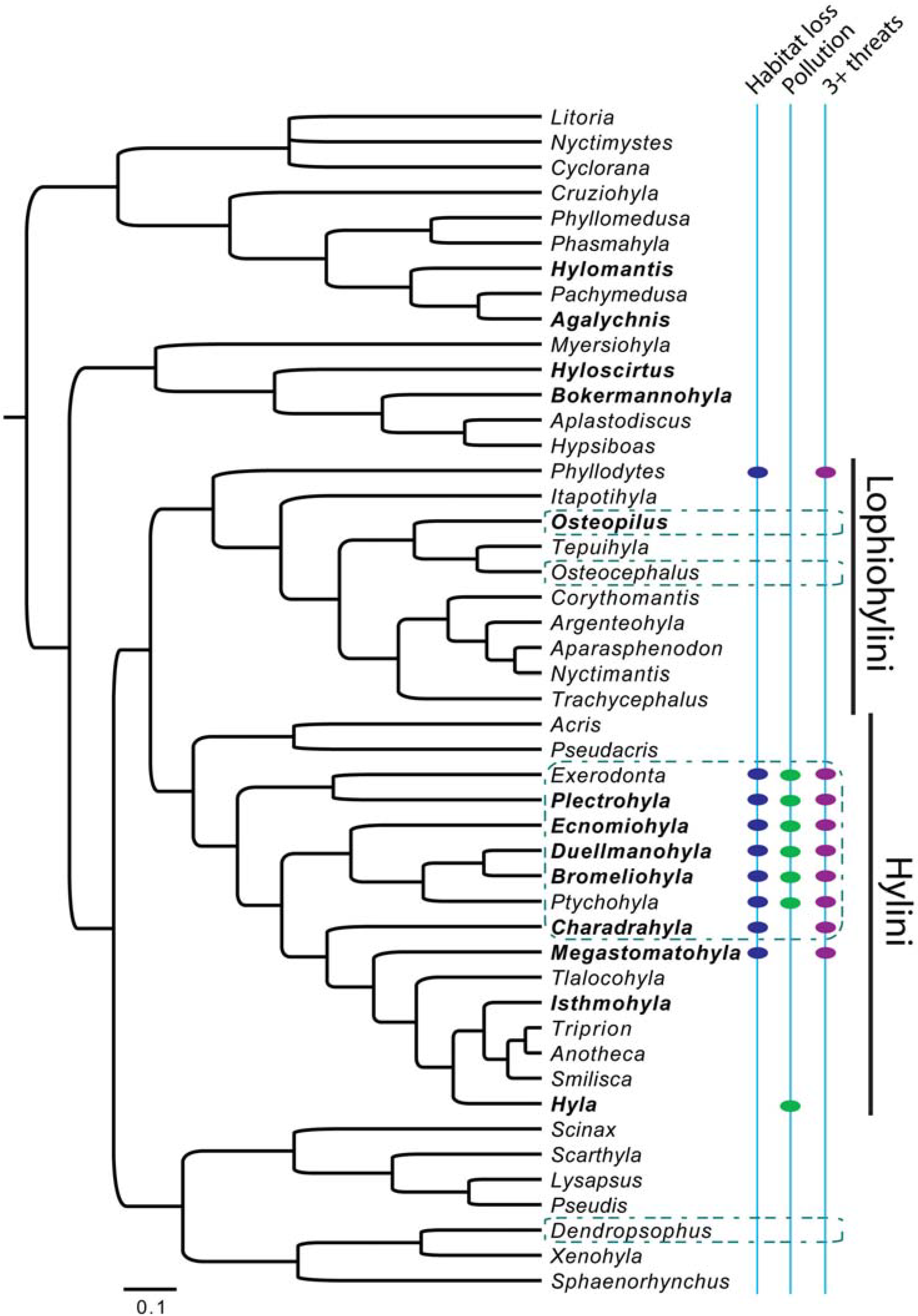 Diversity 02 00142 g004