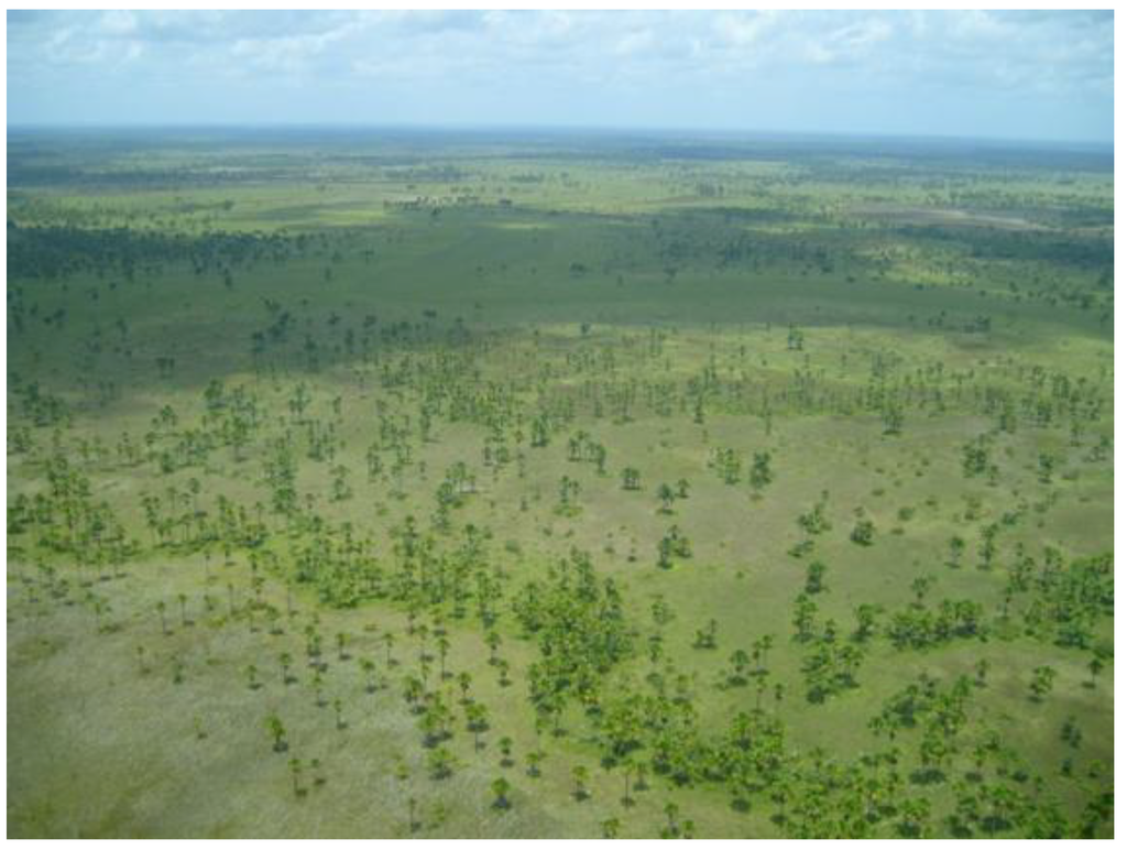 Diversity 02 00182 g003 1024