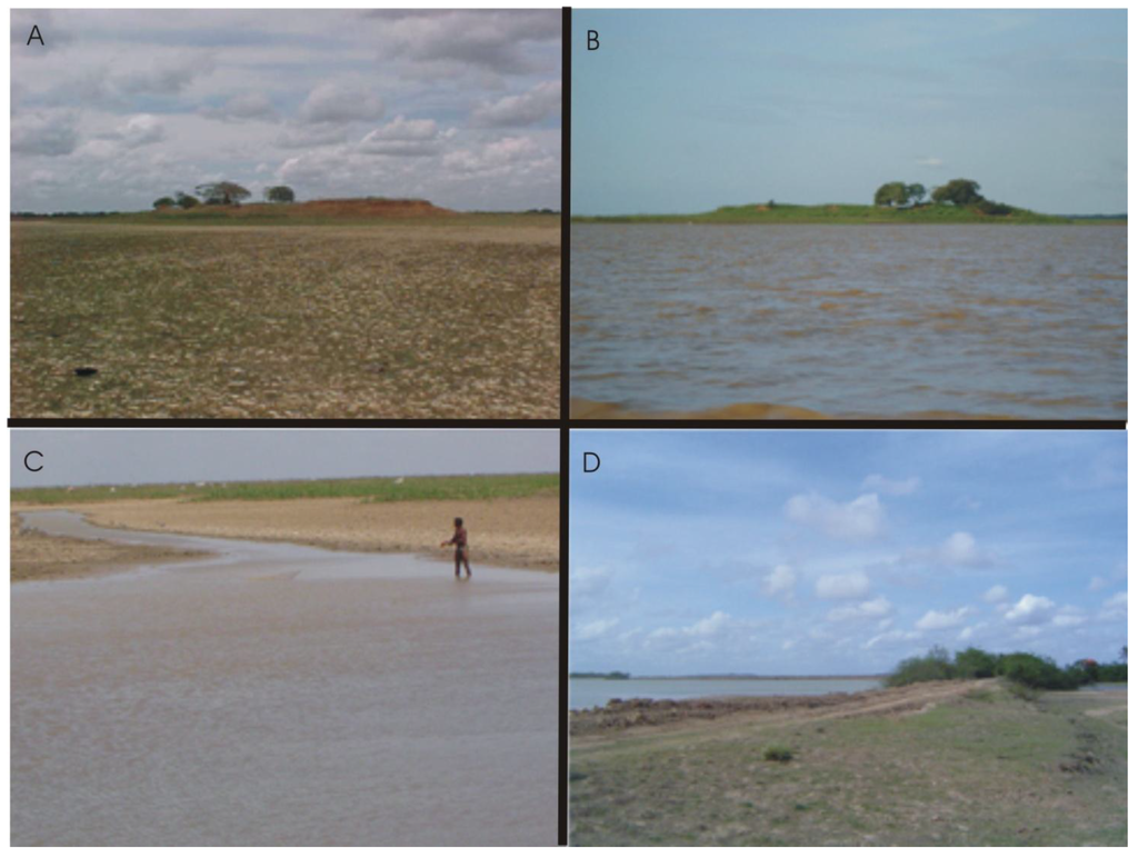 Diversity 02 00182 g004 1024