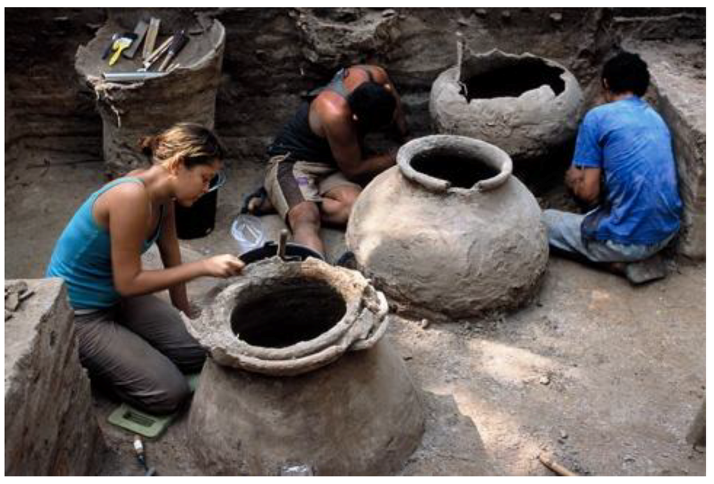 Diversity 02 00182 g005 1024