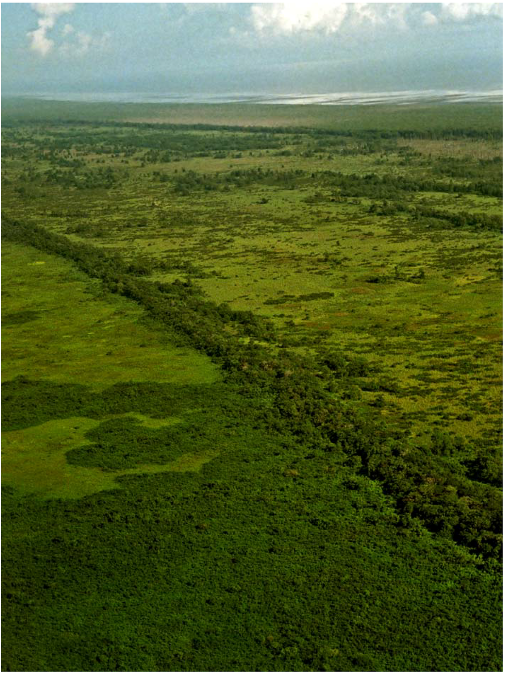 Diversity 02 00331 g002 1024