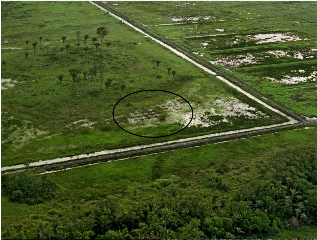 Diversity 02 00331 g003 1024