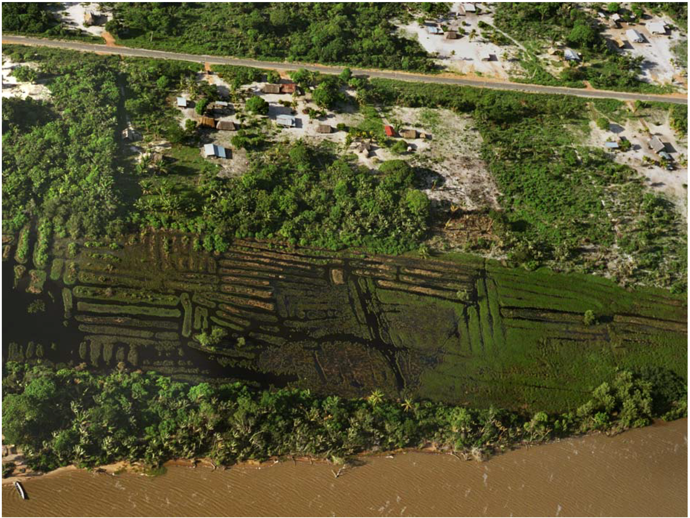 Diversity 02 00331 g004