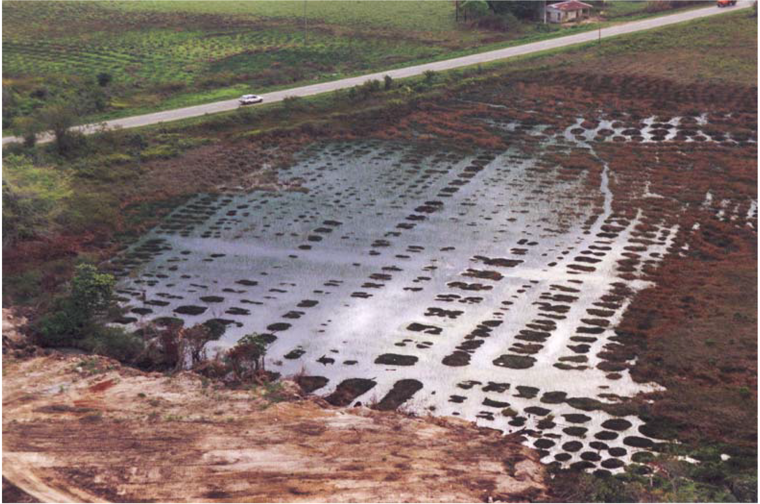 Diversity 02 00331 g007