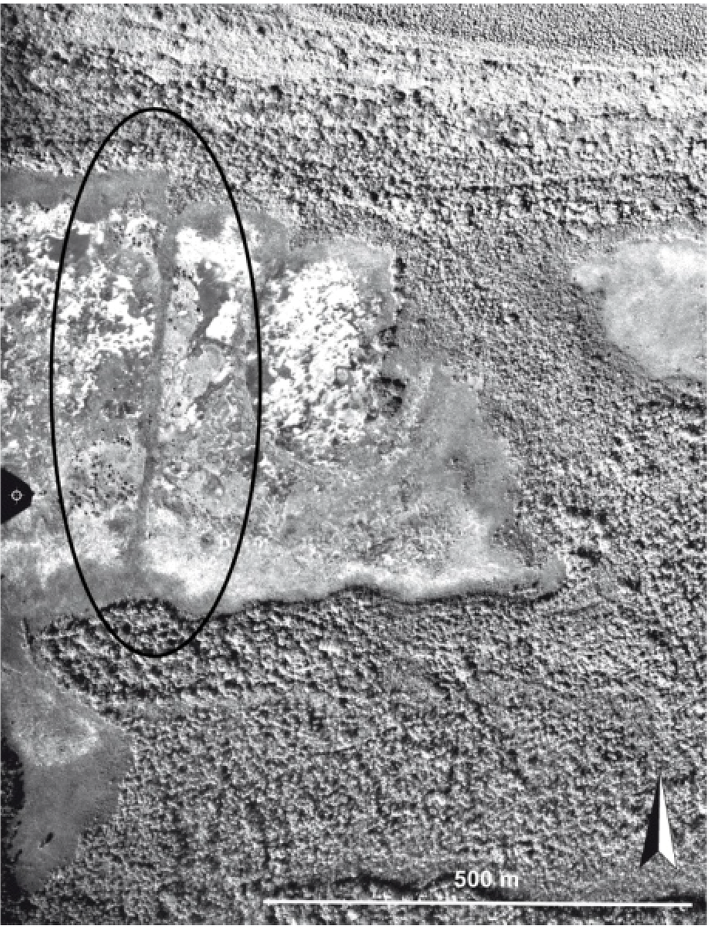 Diversity 02 00331 g013 1024