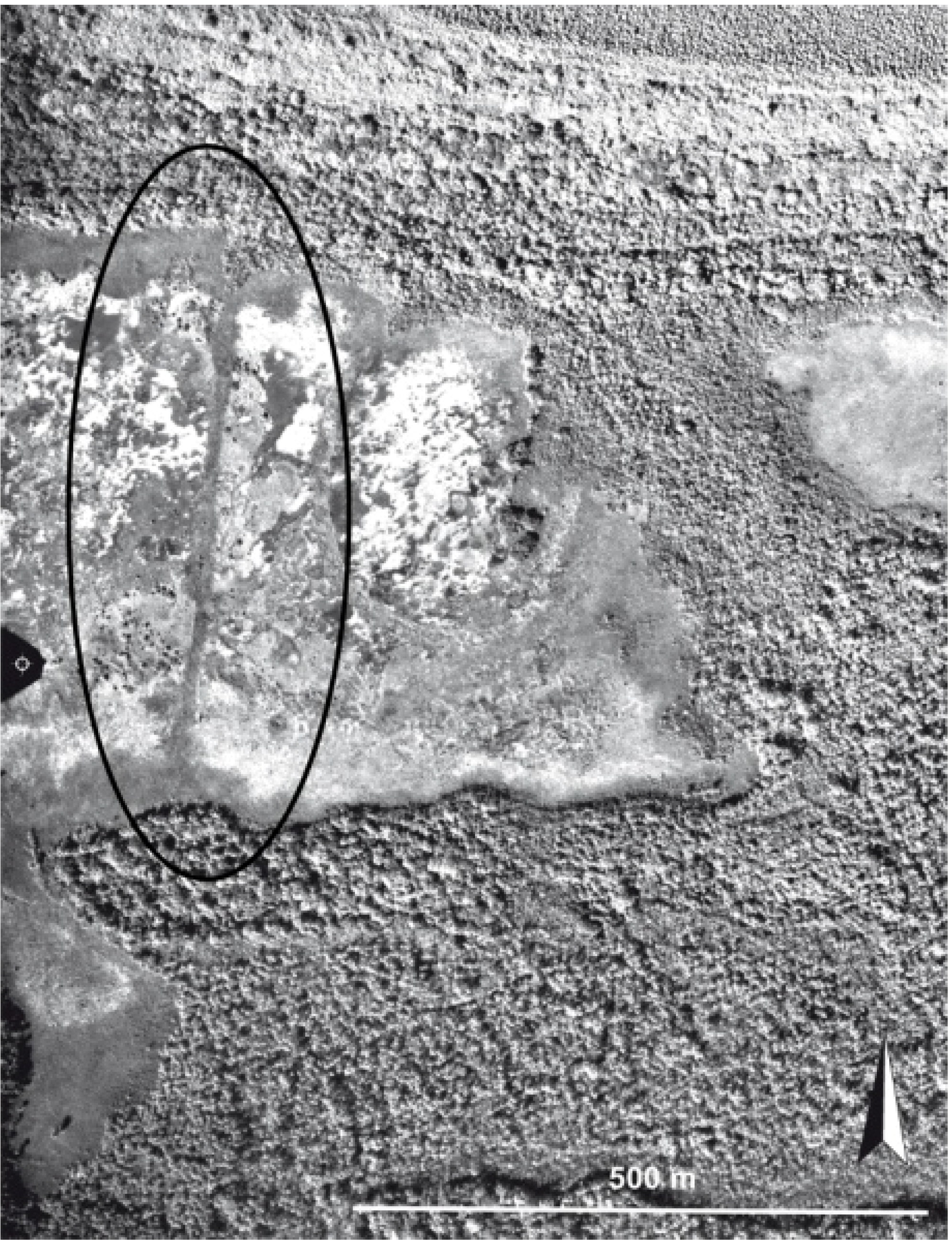 Diversity 02 00331 g013