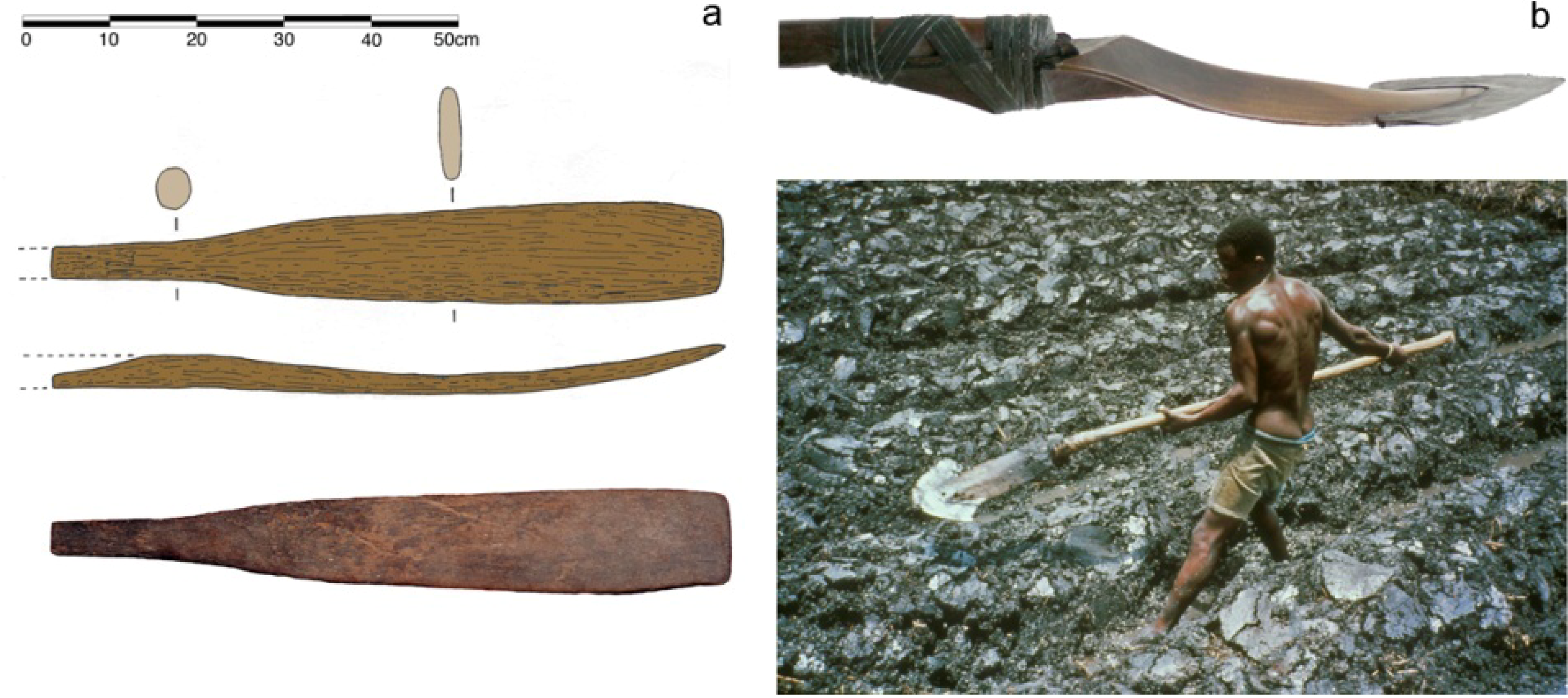 Diversity 02 00331 g015