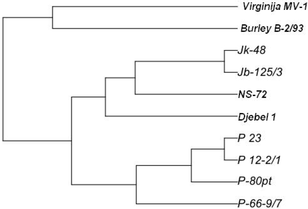 Diversity 02 00439 g001 1024