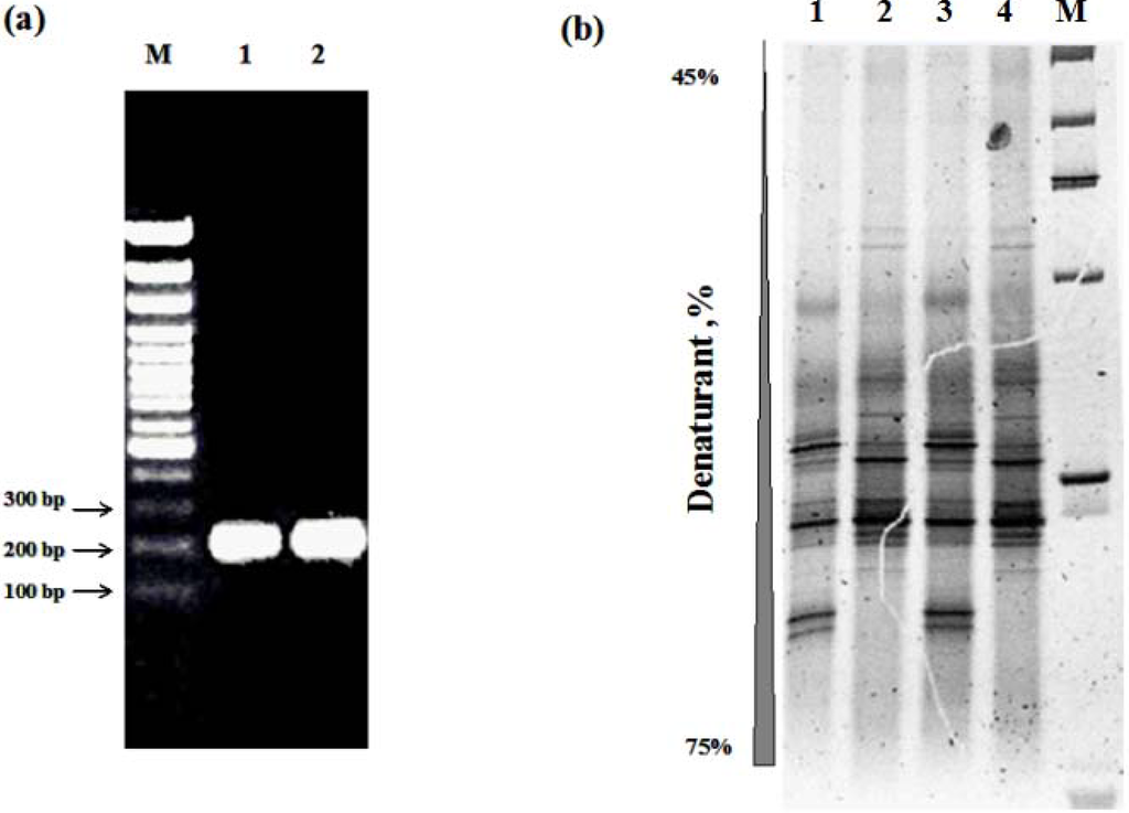Diversity 02 00505 g005 1024