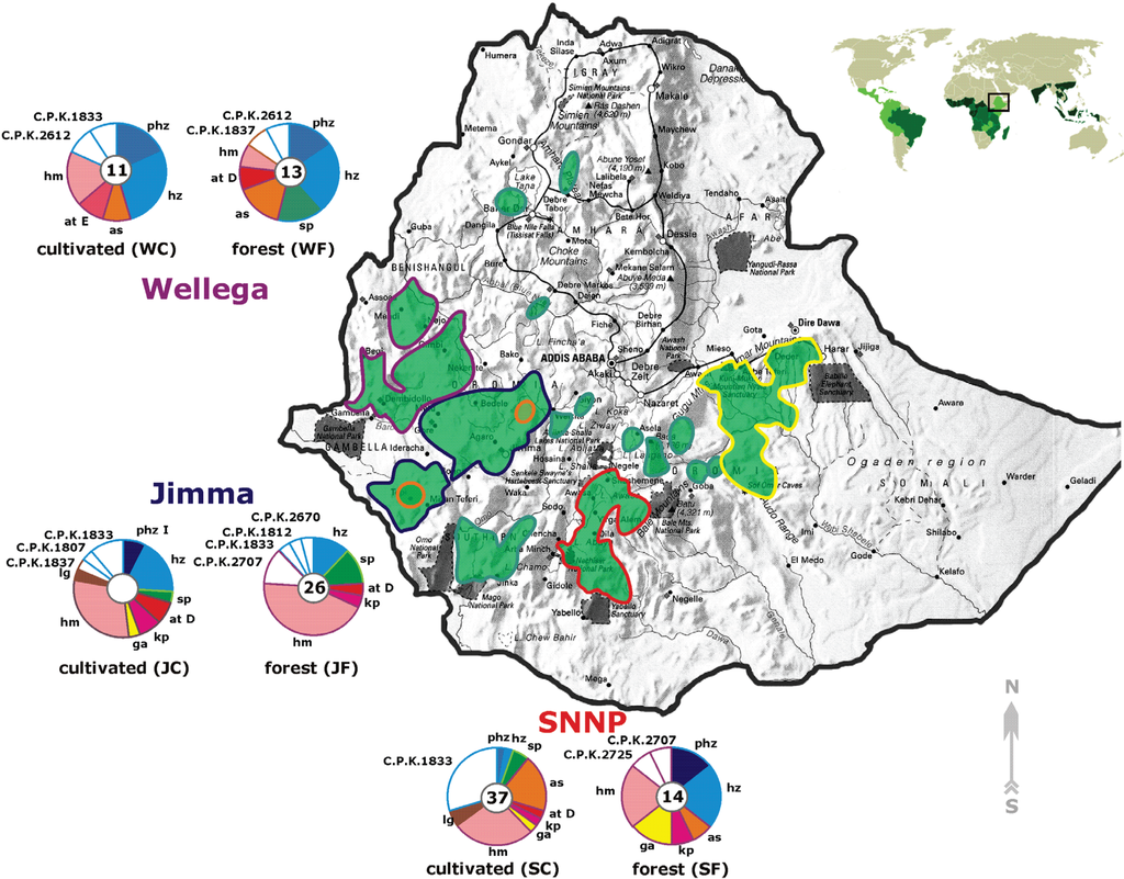 Diversity 02 00527 g001 1024