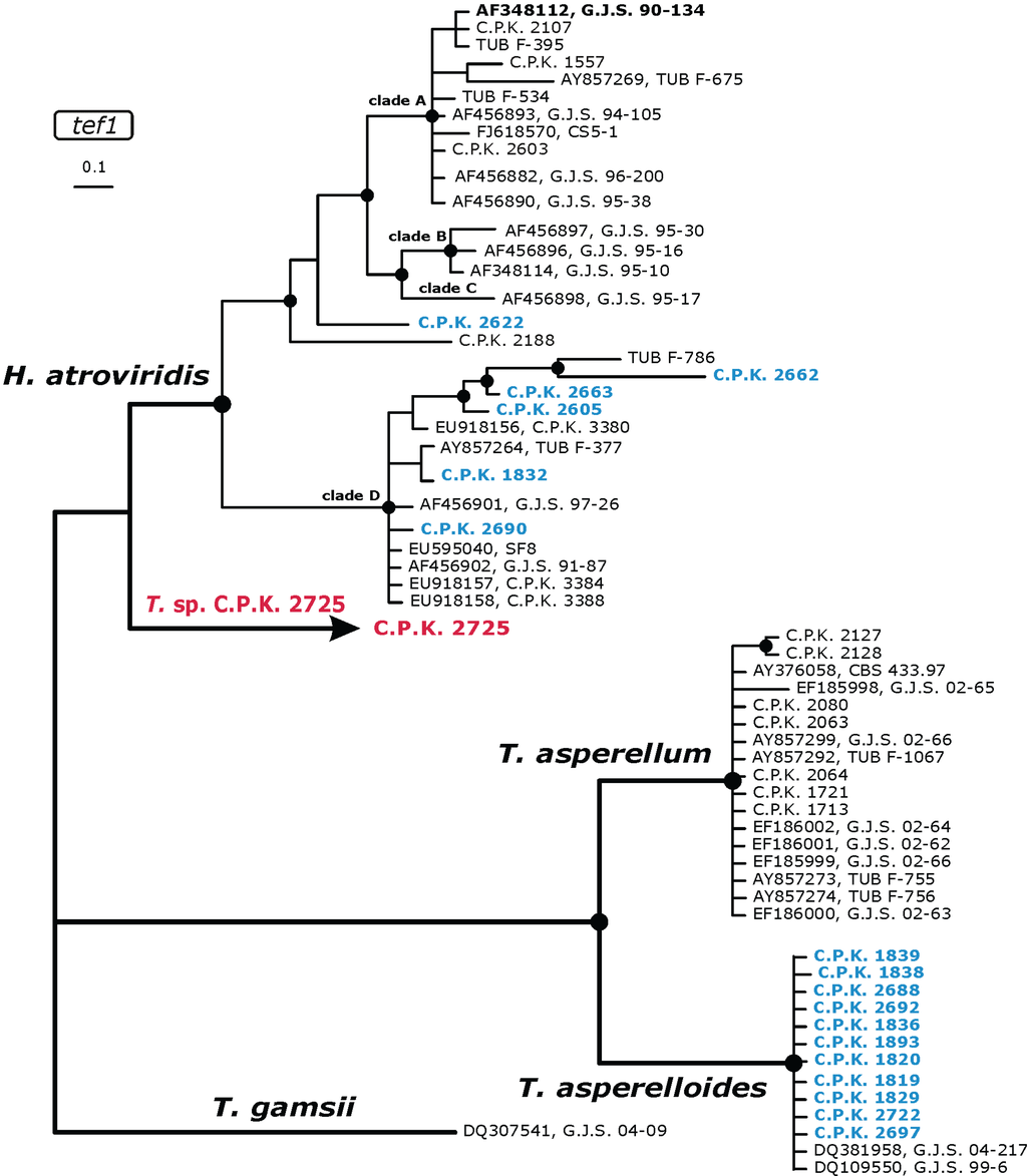 Diversity 02 00527 g002 1024