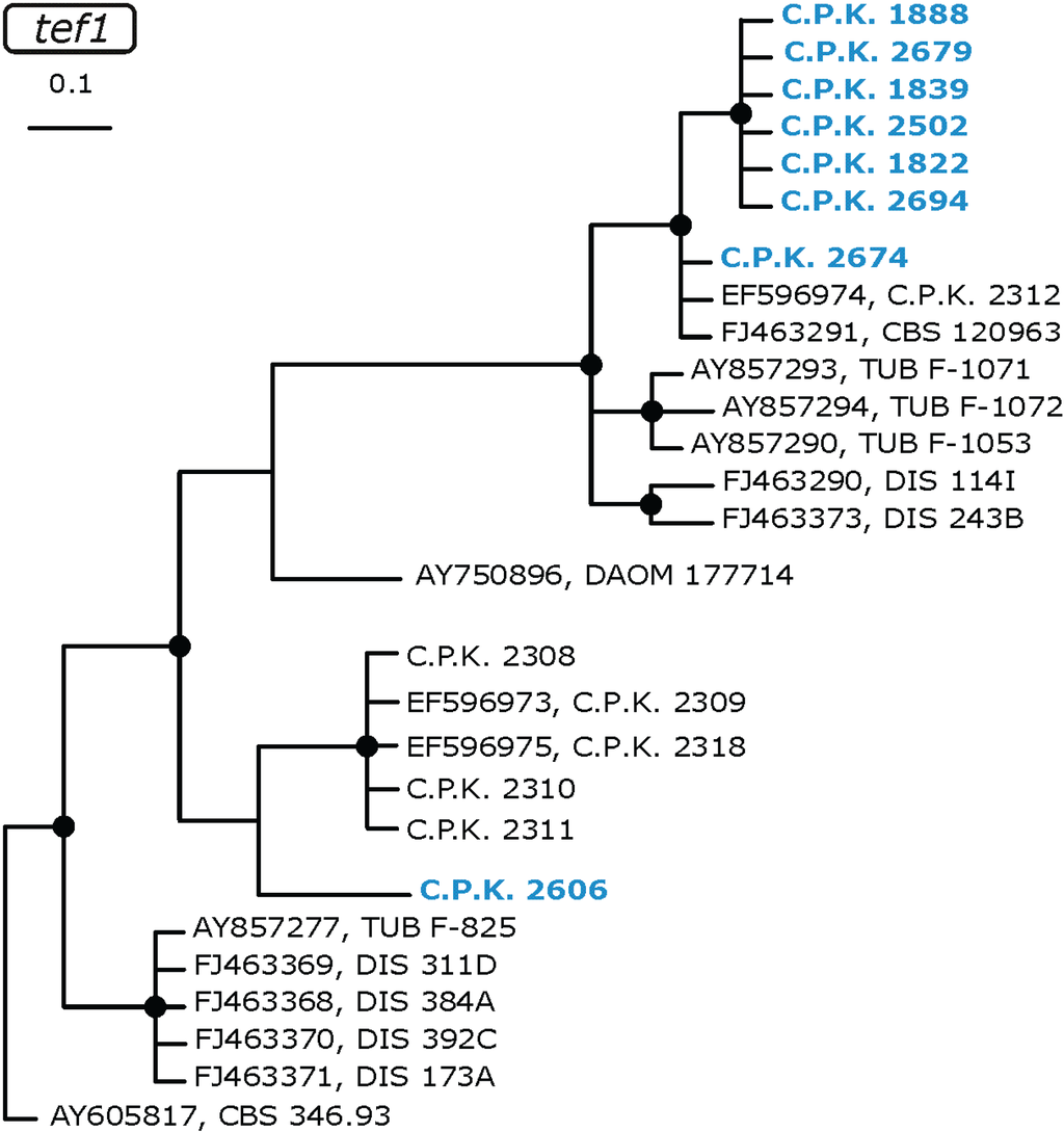 Diversity 02 00527 g003 1024