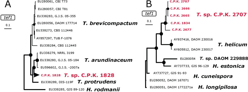 Diversity 02 00527 g004 1024