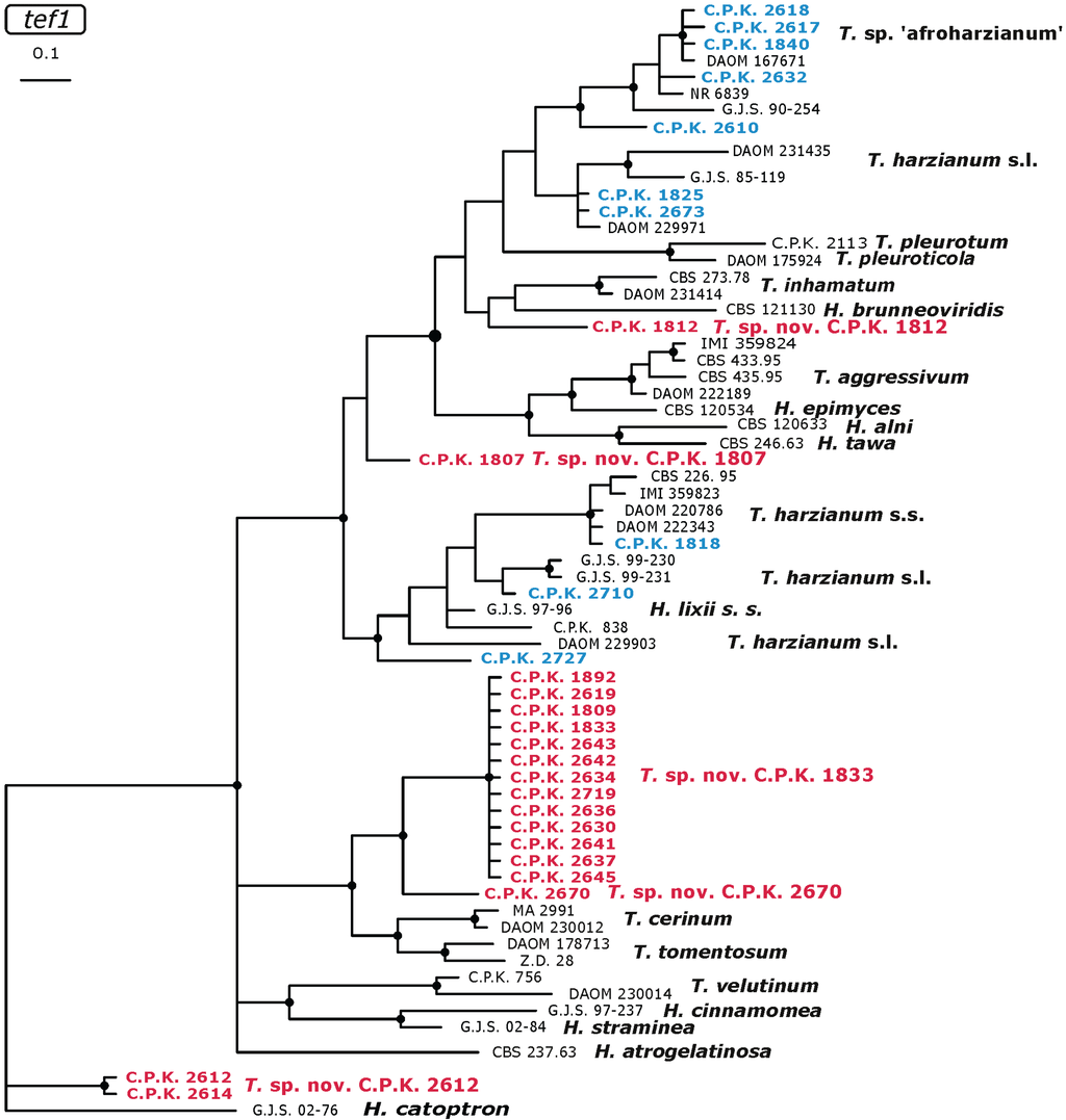 Diversity 02 00527 g005 1024