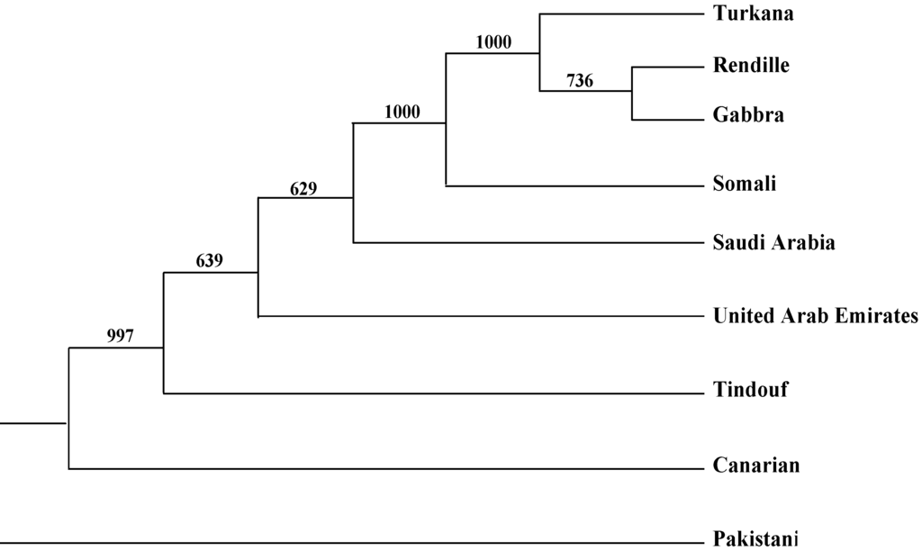 Diversity 02 00561 g001 1024