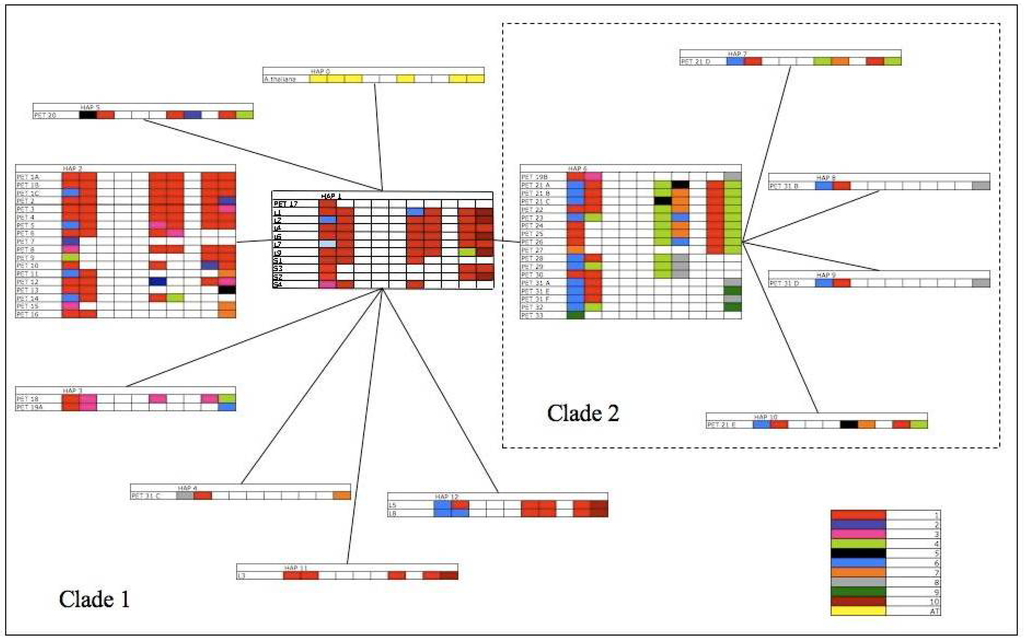 Diversity 02 00653 g004 1024