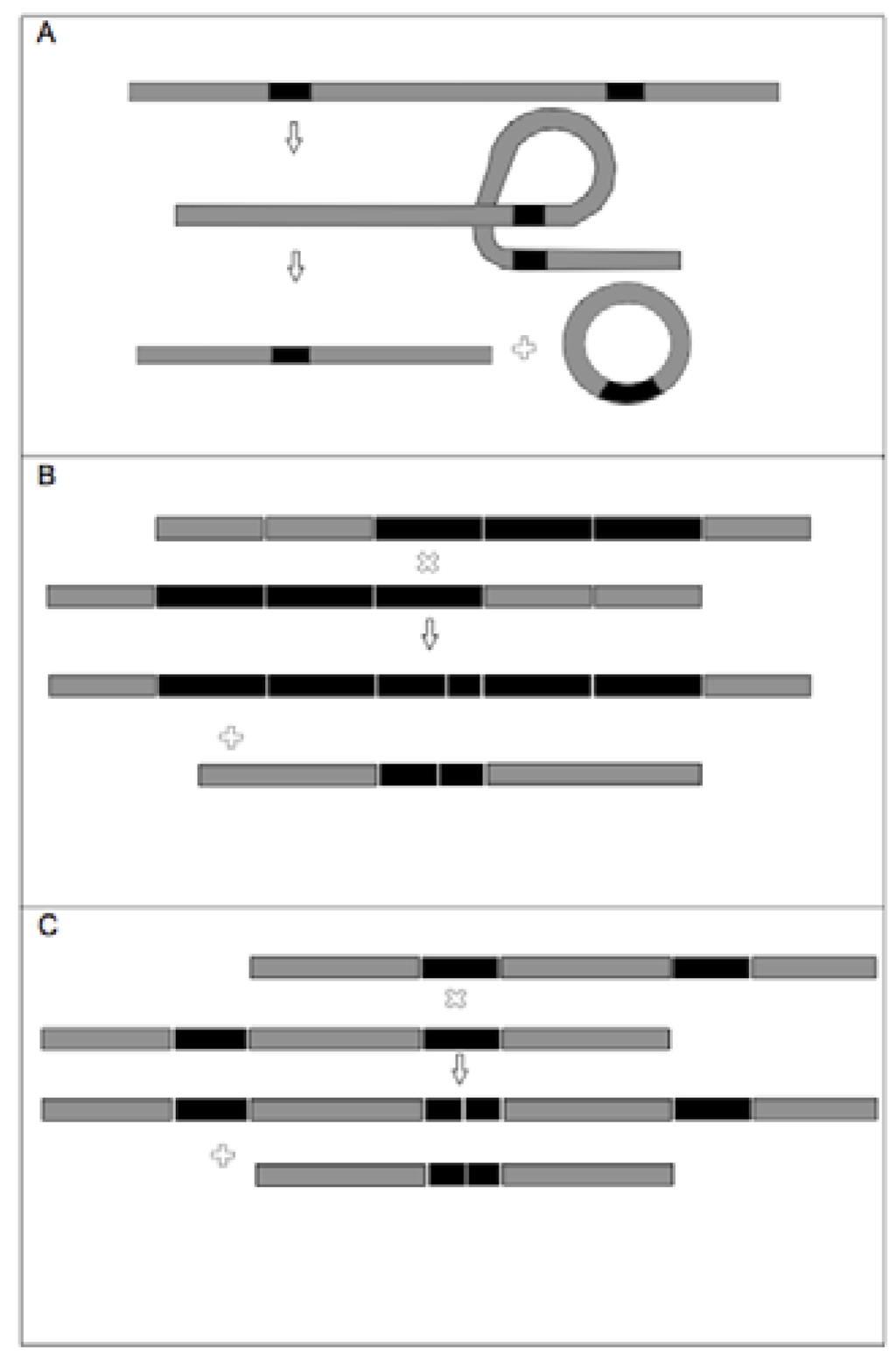 Diversity 02 00653 g005 1024