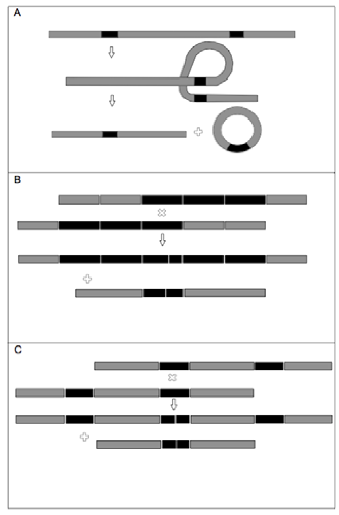 Diversity 02 00653 g005