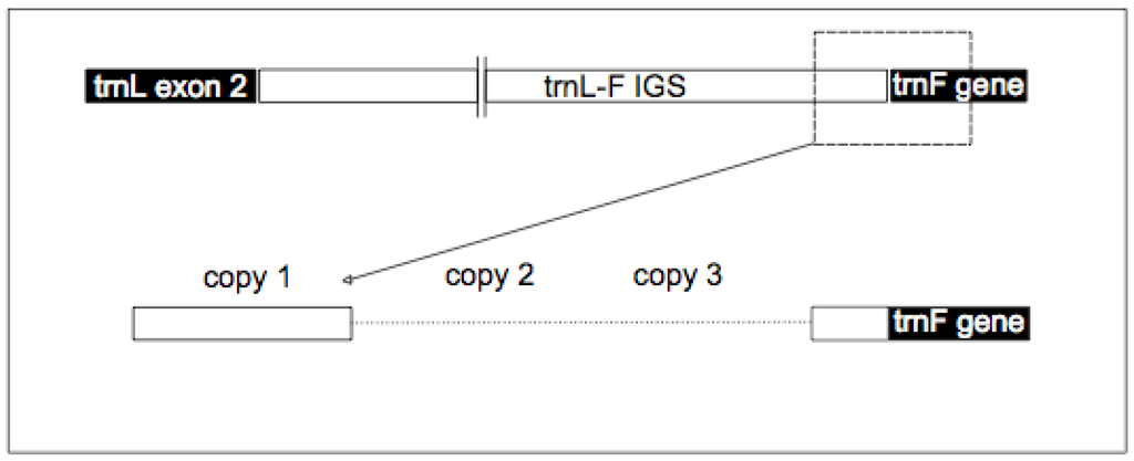 Diversity 02 00653 g006 1024