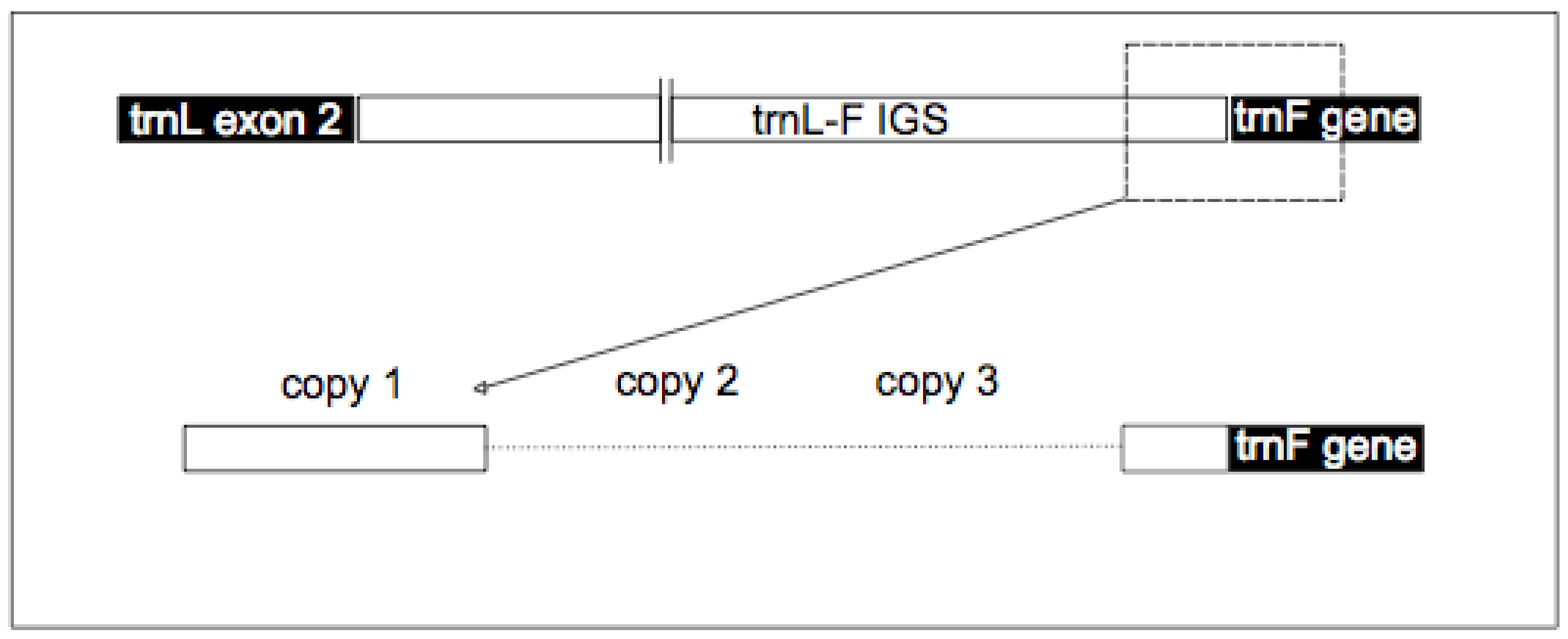 Diversity 02 00653 g006