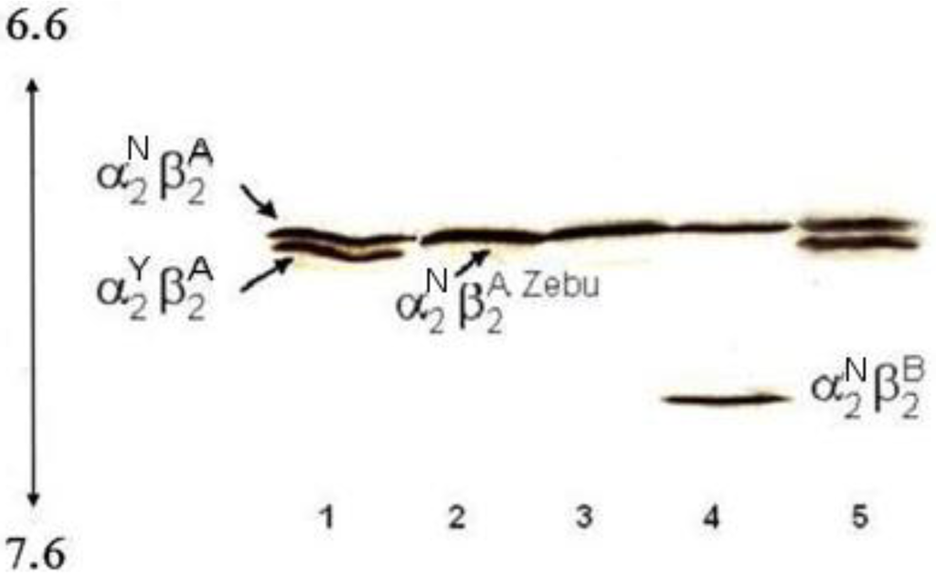 Diversity 02 00679 g001 1024