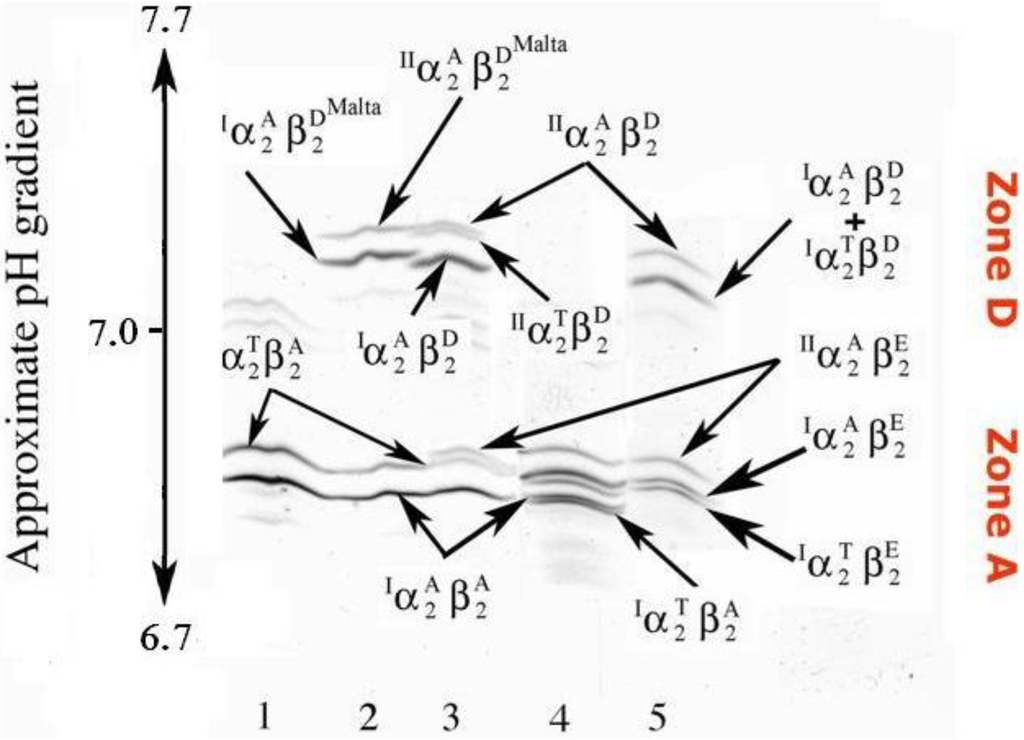 Diversity 02 00679 g002 1024