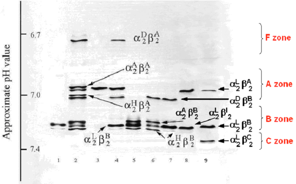 Diversity 02 00679 g003 1024