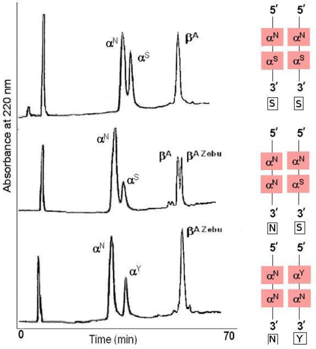 Diversity 02 00679 g004 1024